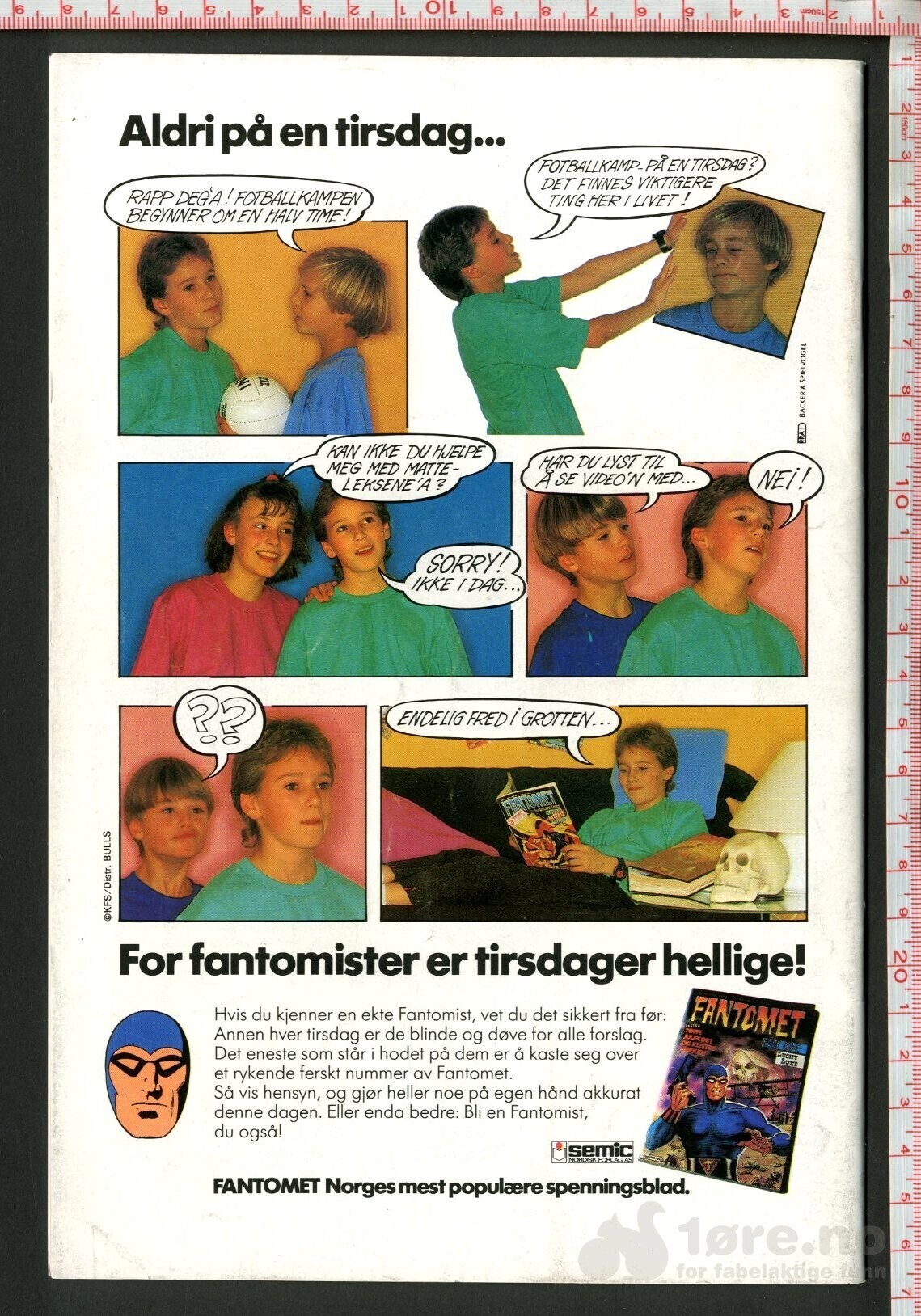 Hulk 1990, bilde 4