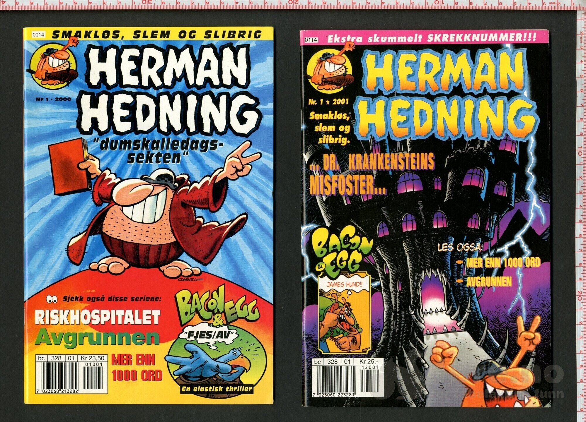 Herman Hedning  1998-2008, bilde 3