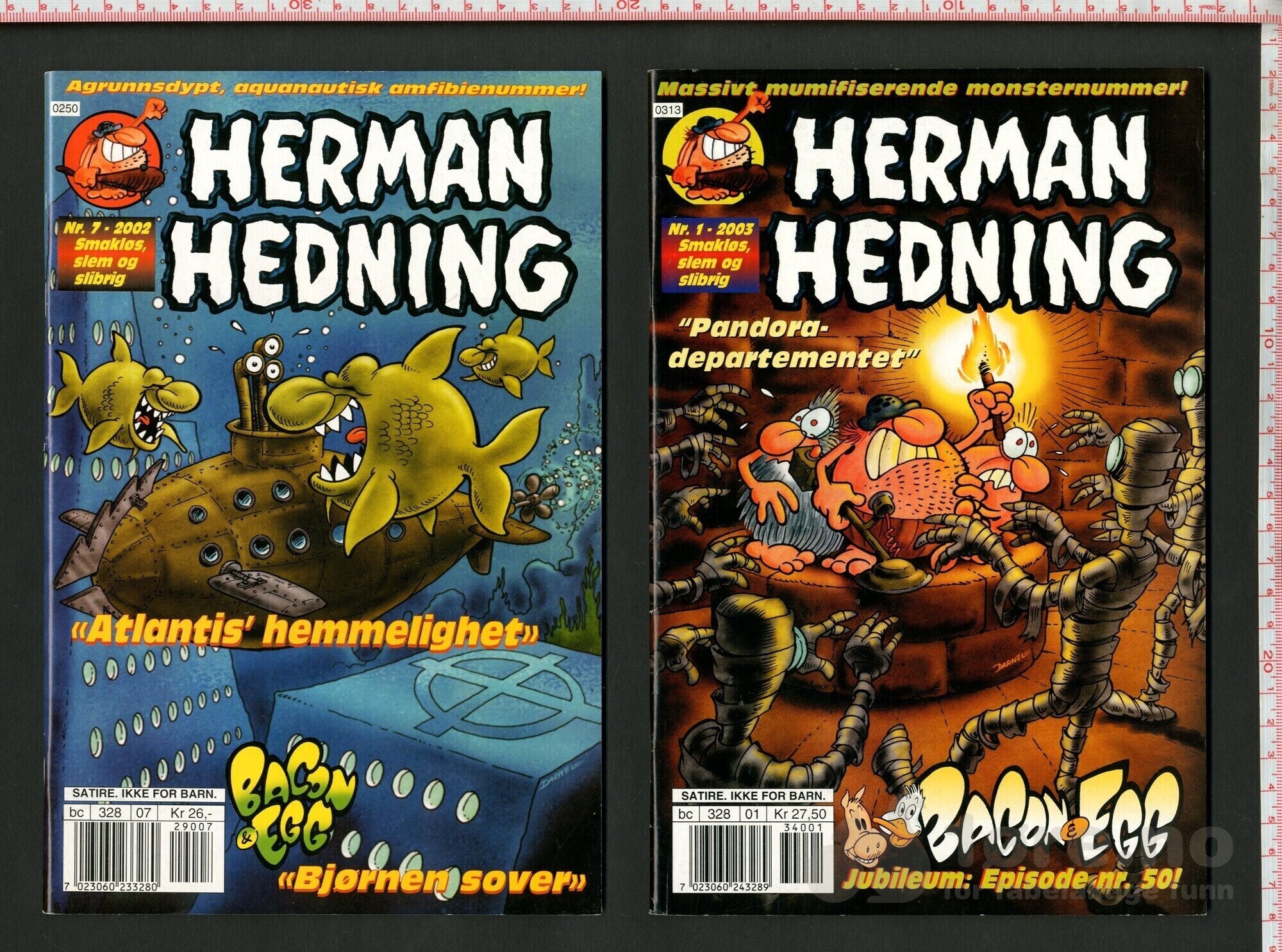Herman Hedning  1998-2008, bilde 5