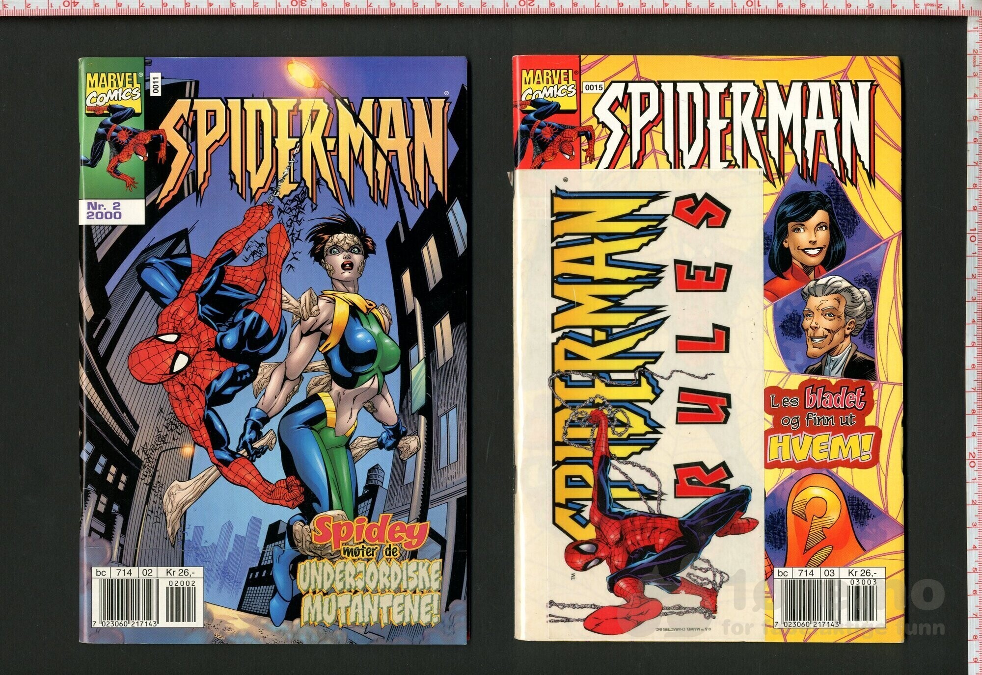 Spider-Man 1999-2000, bilde 5