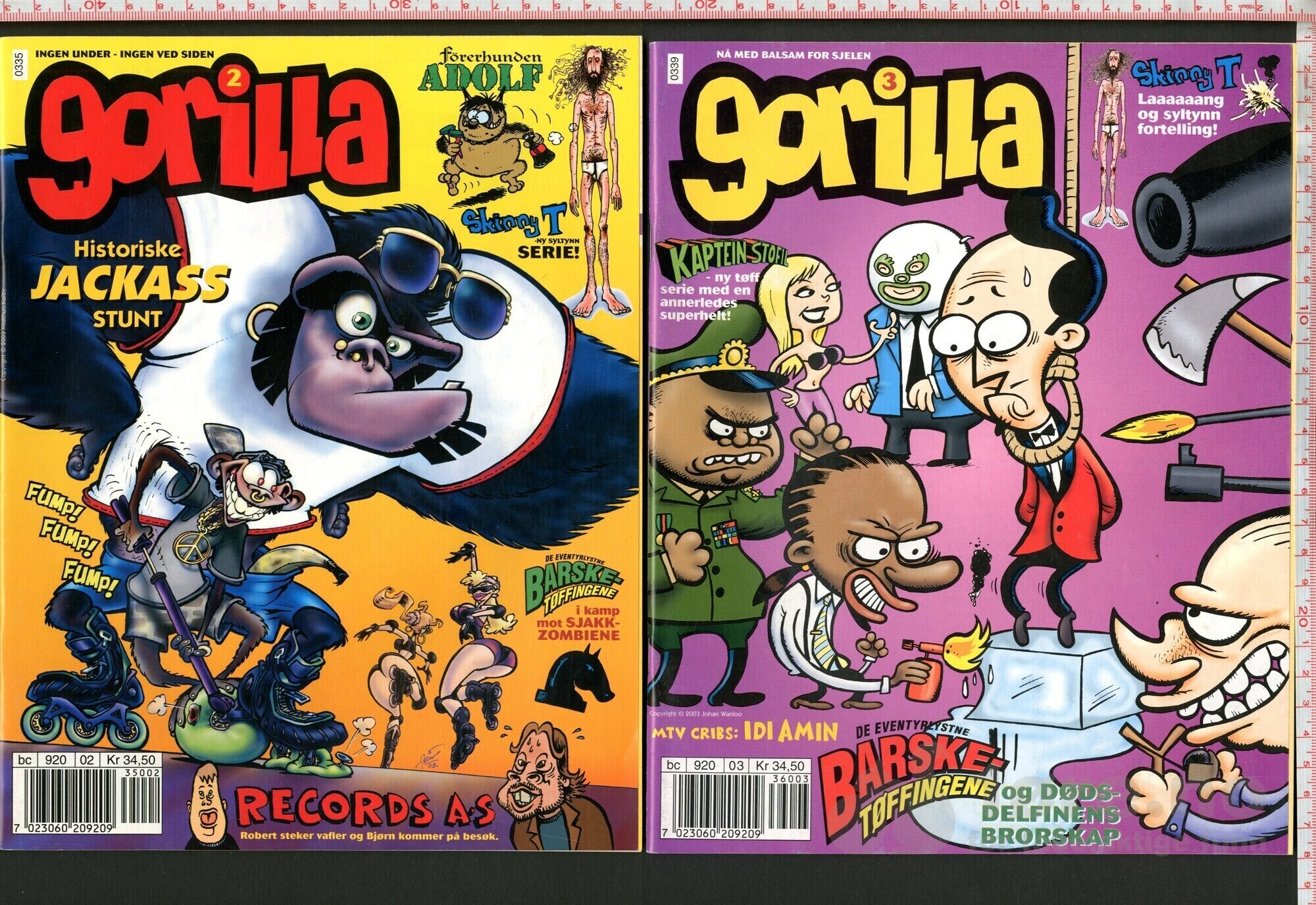 Gorilla 2003-2004, bilde 2