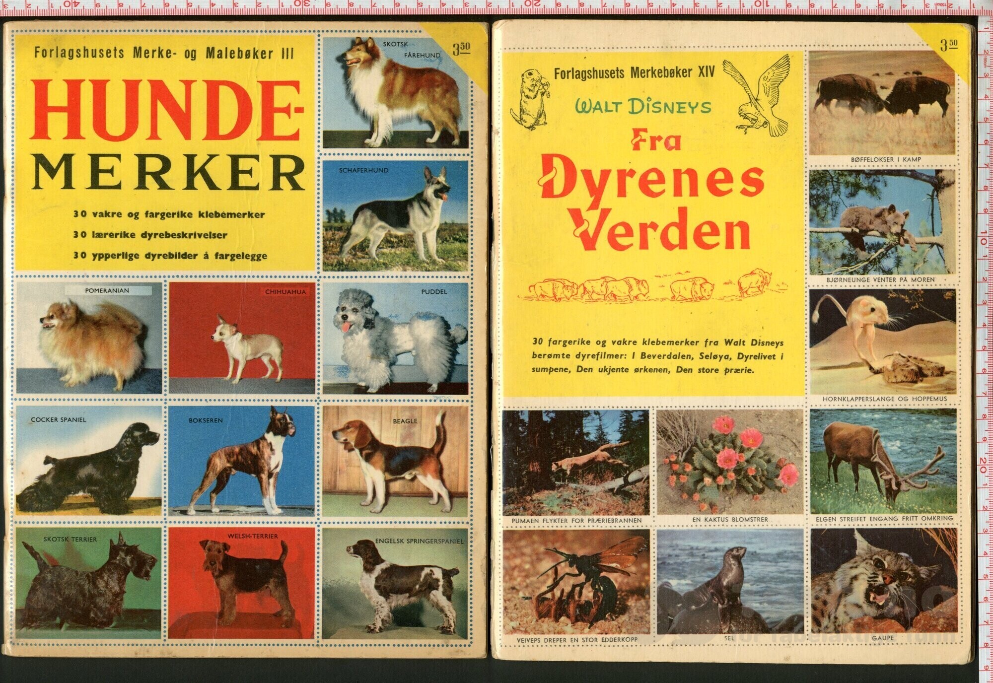Forlagshusets Merke- og Malebøker