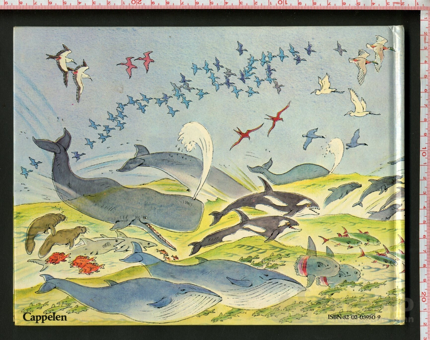 Noas Ark 1978 illustrert av Peter Spier, bilde 2