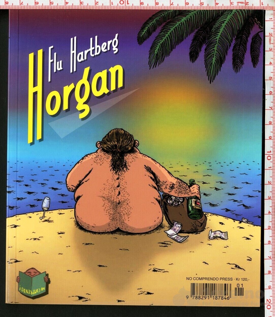 Flu Hartberg - Horgan