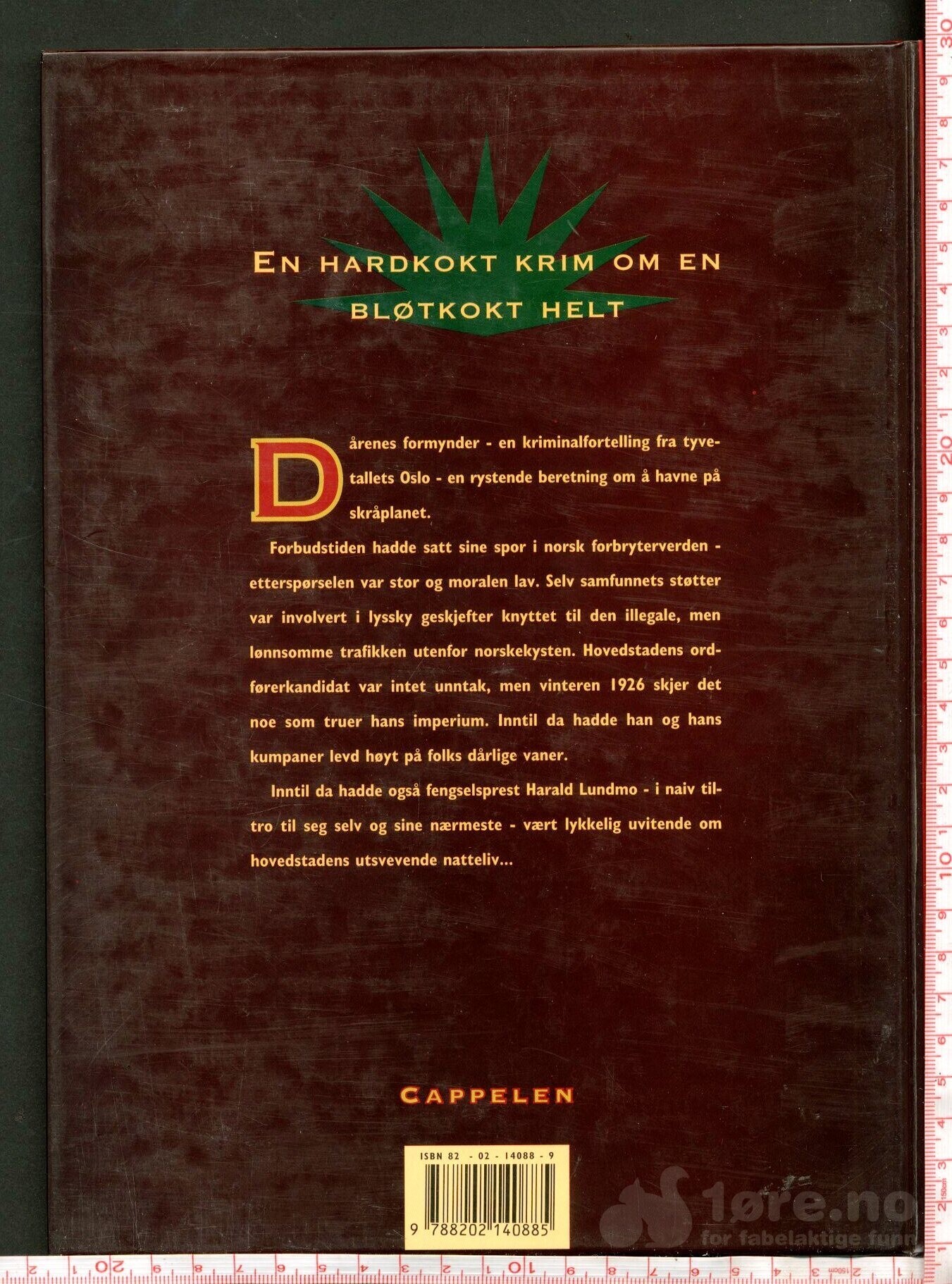 Dårenes Formynder 1993, bilde 2