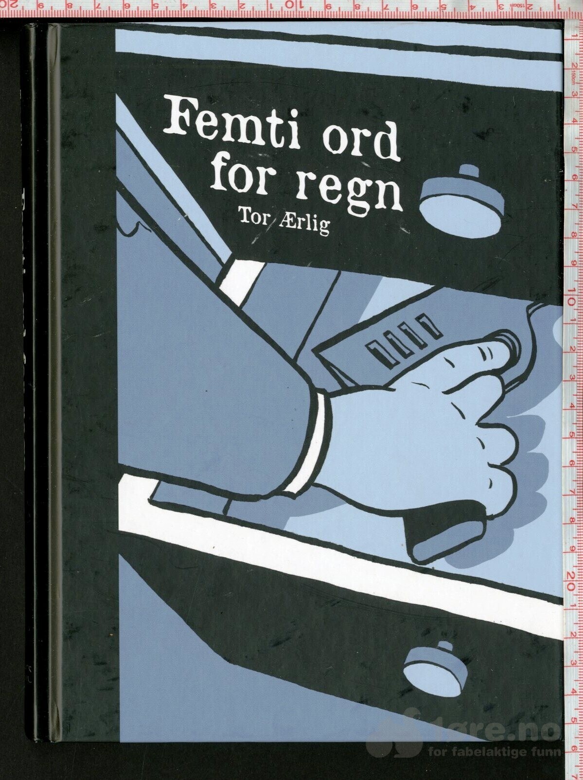 Femti ord for regn 2013