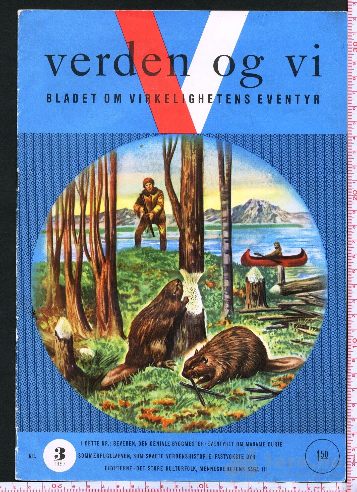 VERDEN OG VI 1957, bilde 3