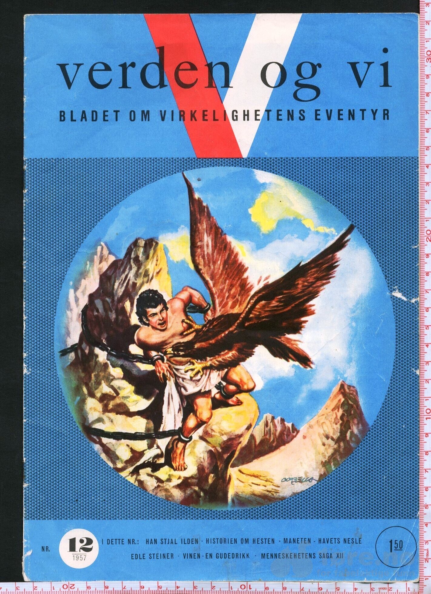VERDEN OG VI 1957, bilde 9