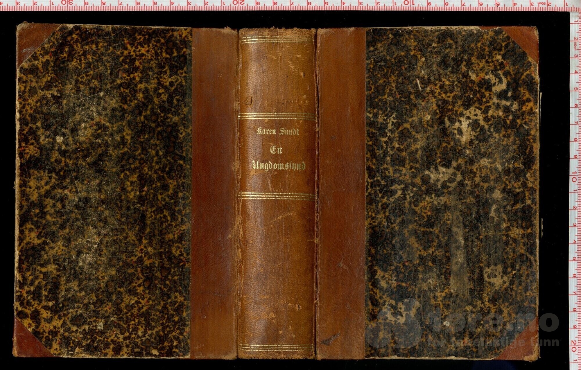 Sundt, Karen  -  En ungdomssynd ( 1902 )
