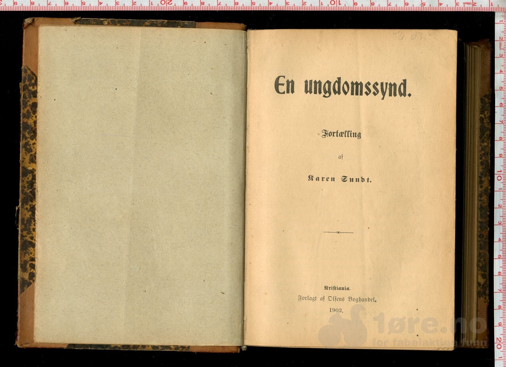 Sundt, Karen  -  En ungdomssynd ( 1902 ), bilde 2