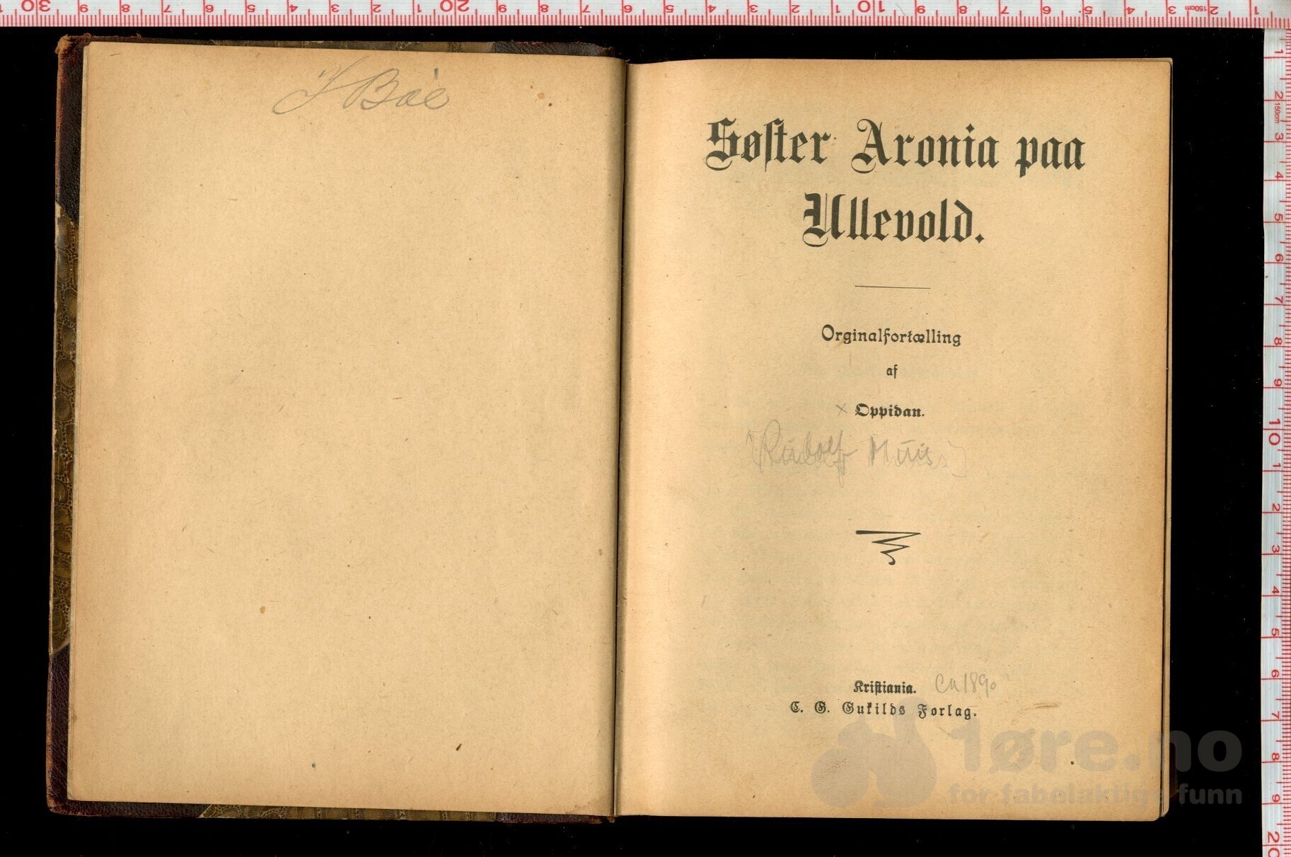 Muus, Rudolf - Søster Aronia paa Ullevold, bilde 2