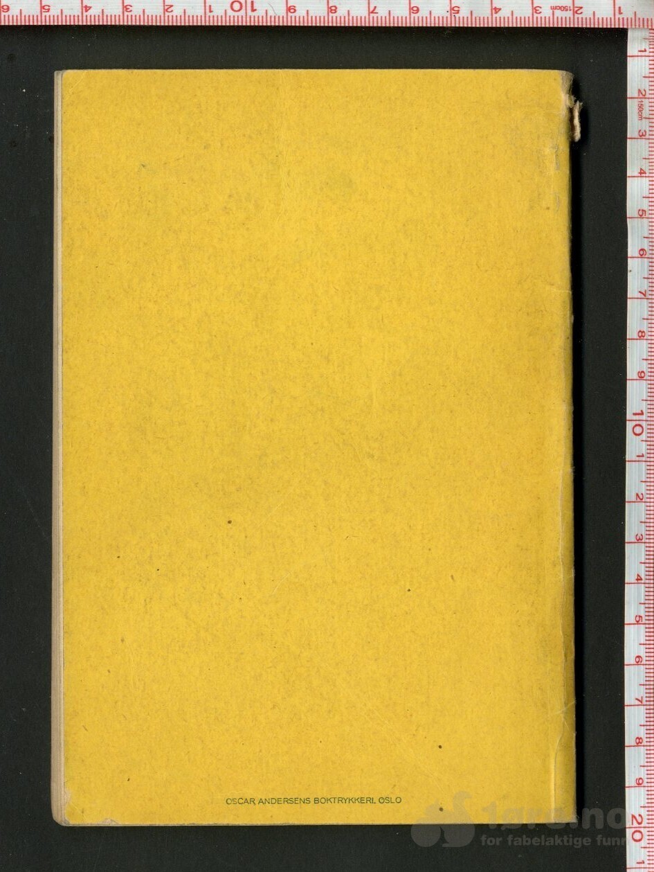Vik, Terje - Dr. Lundemanns plan (Oslo 1944), bilde 2
