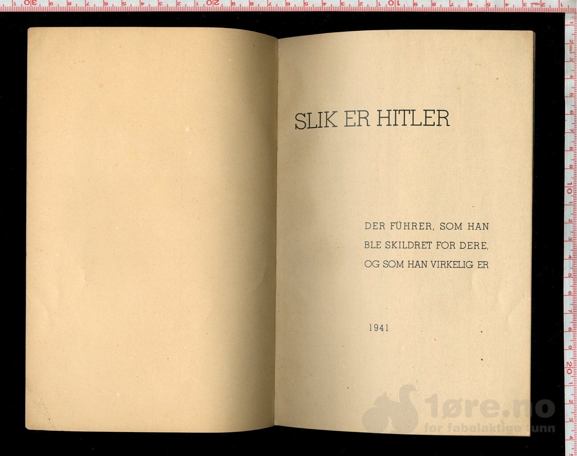 Propaganda - Slik er Hitler (1941), bilde 3