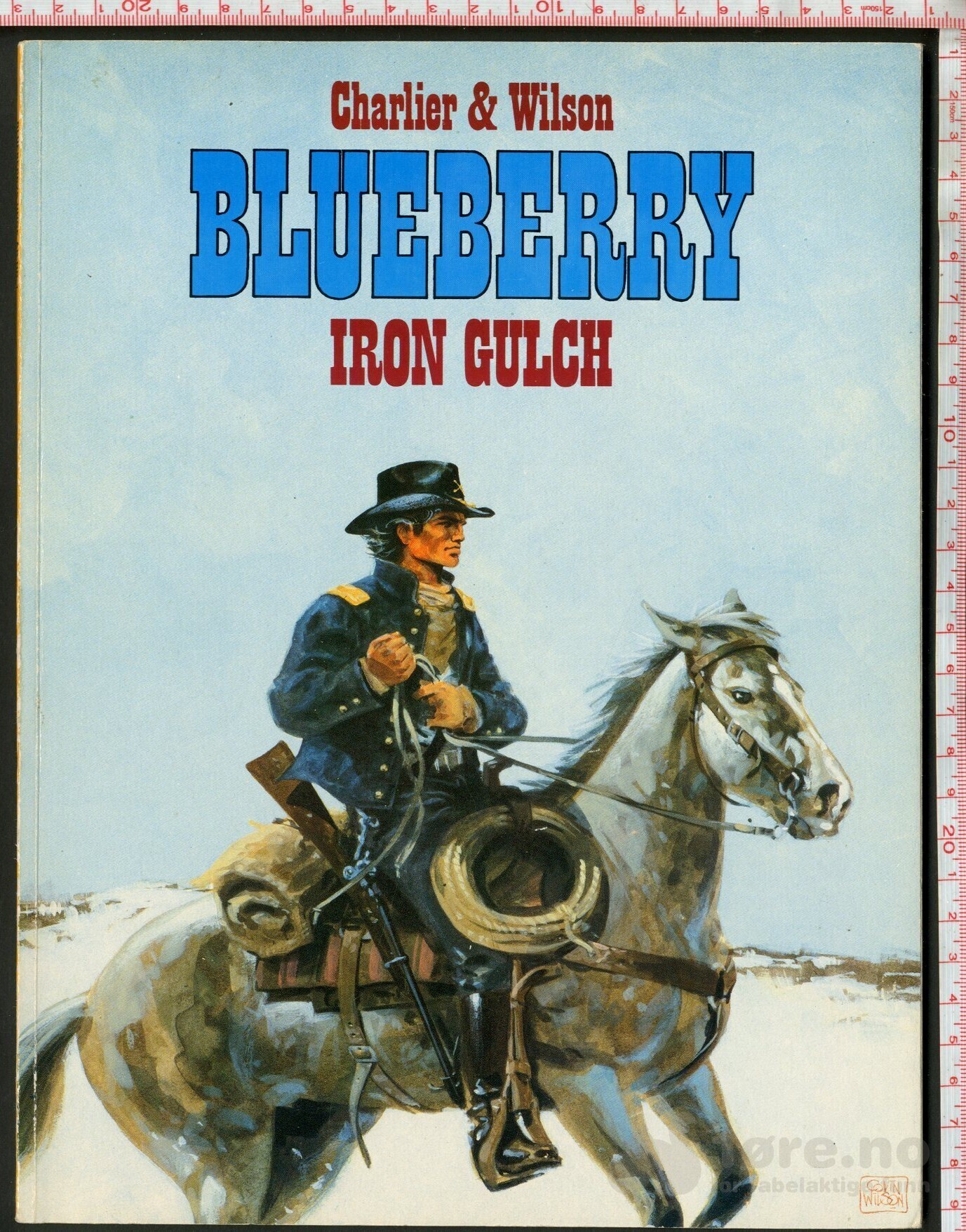 Blueberrys Unge År Album