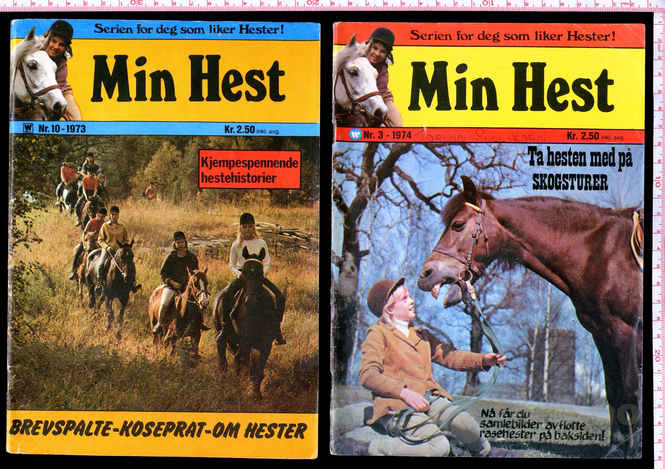 Min Hest  1973 - 1985