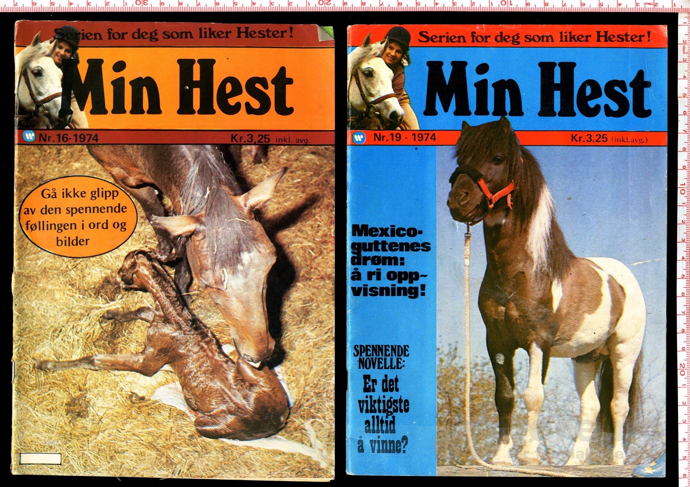 Min Hest  1973 - 1985, bilde 2