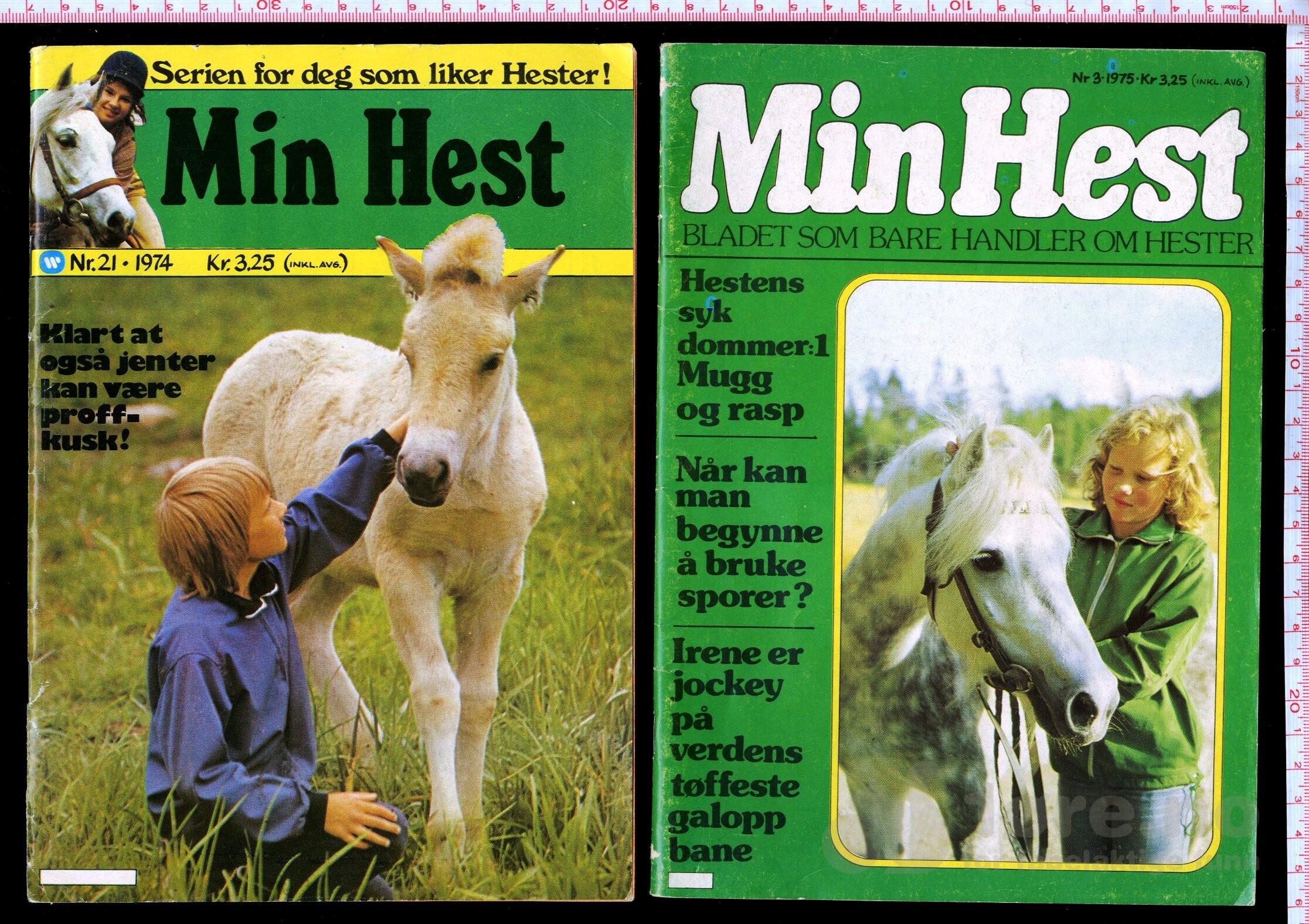 Min Hest  1973 - 1985, bilde 3