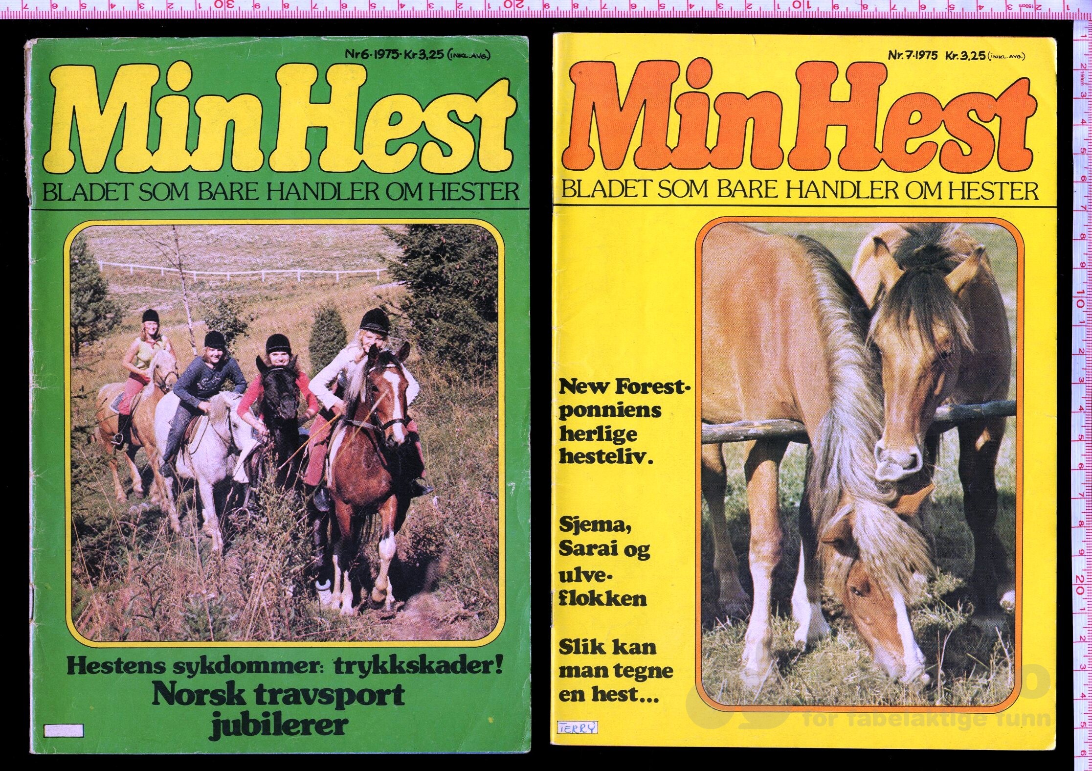 Min Hest  1973 - 1985, bilde 4