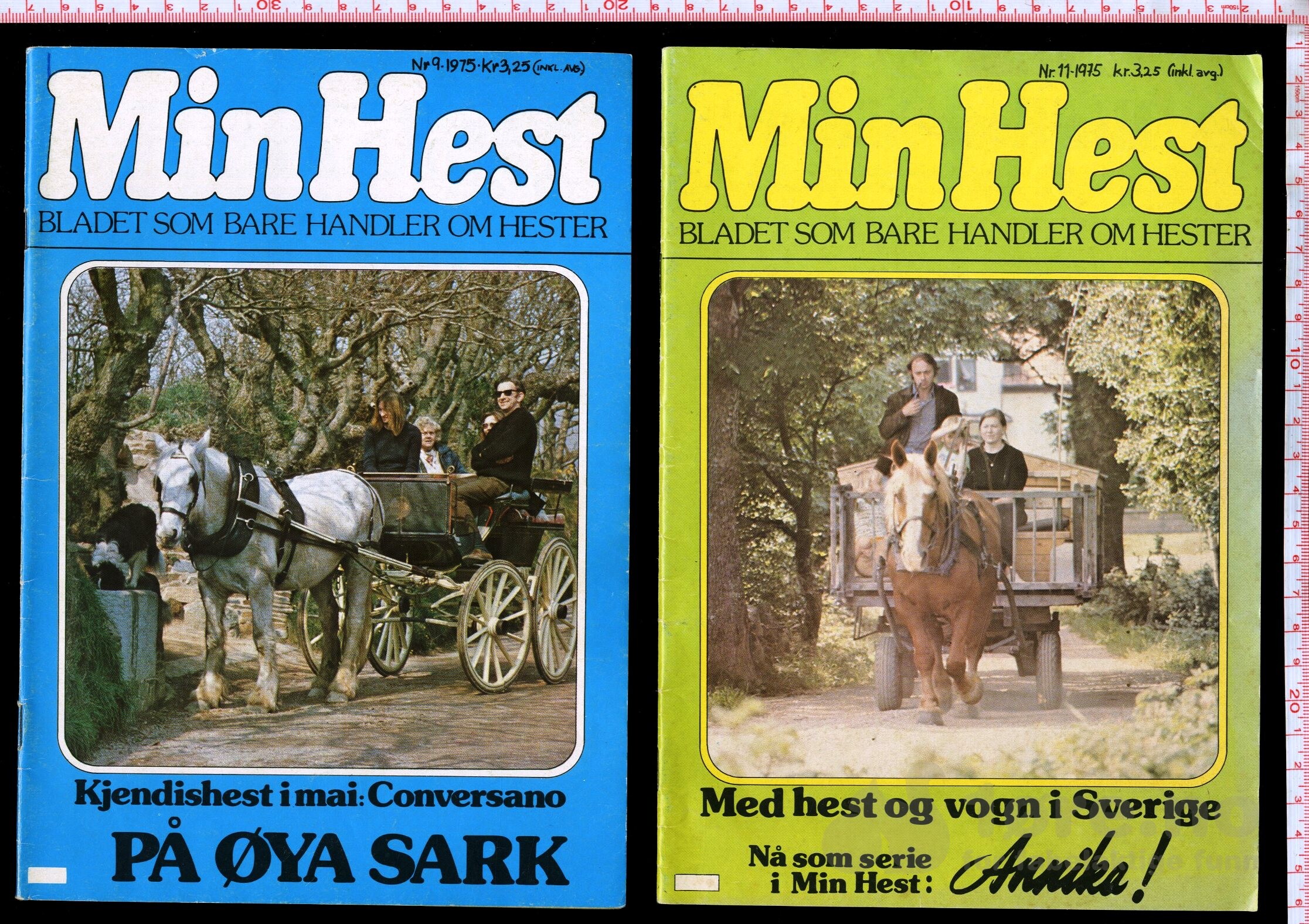 Min Hest  1973 - 1985, bilde 5