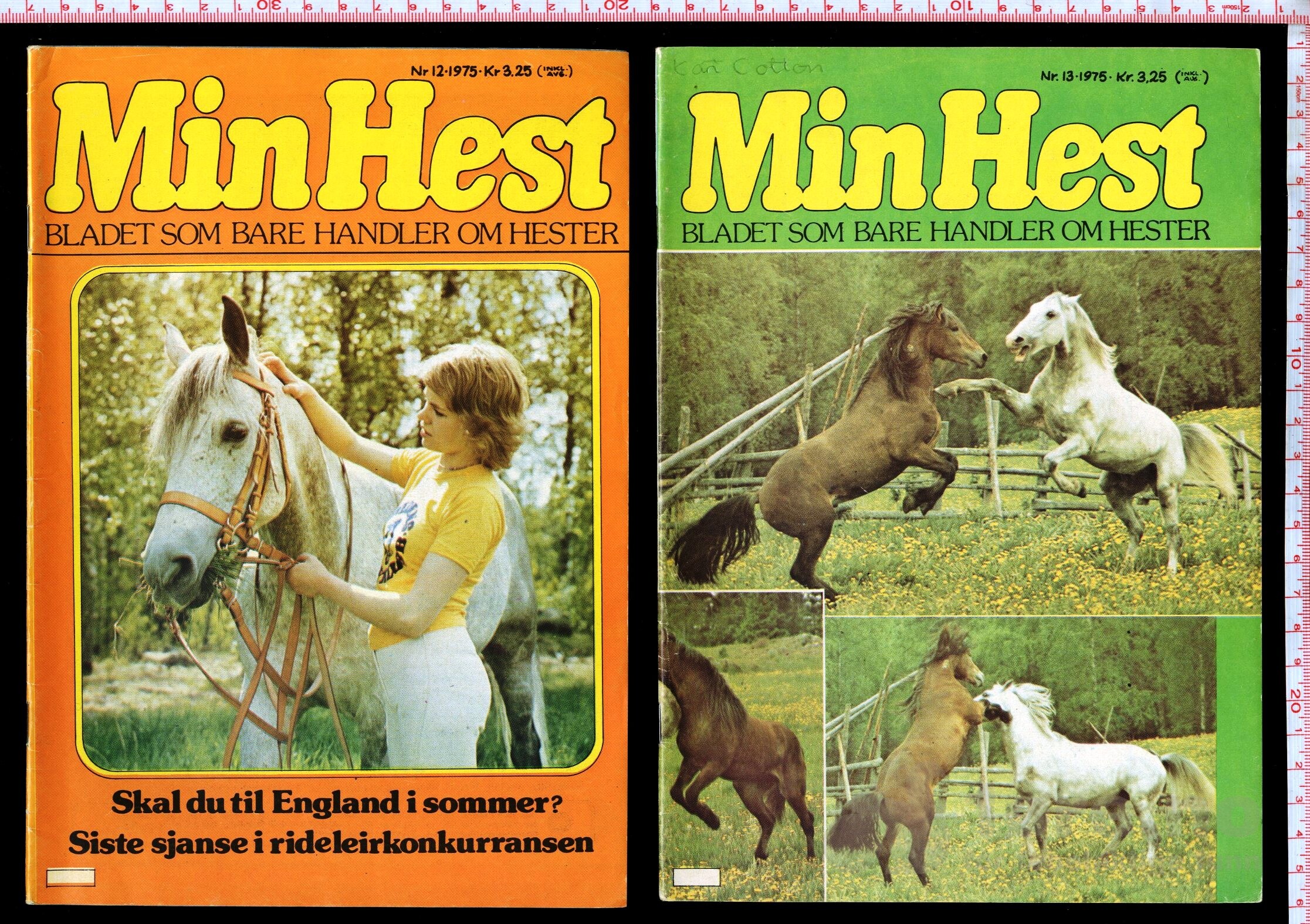 Min Hest  1973 - 1985, bilde 6