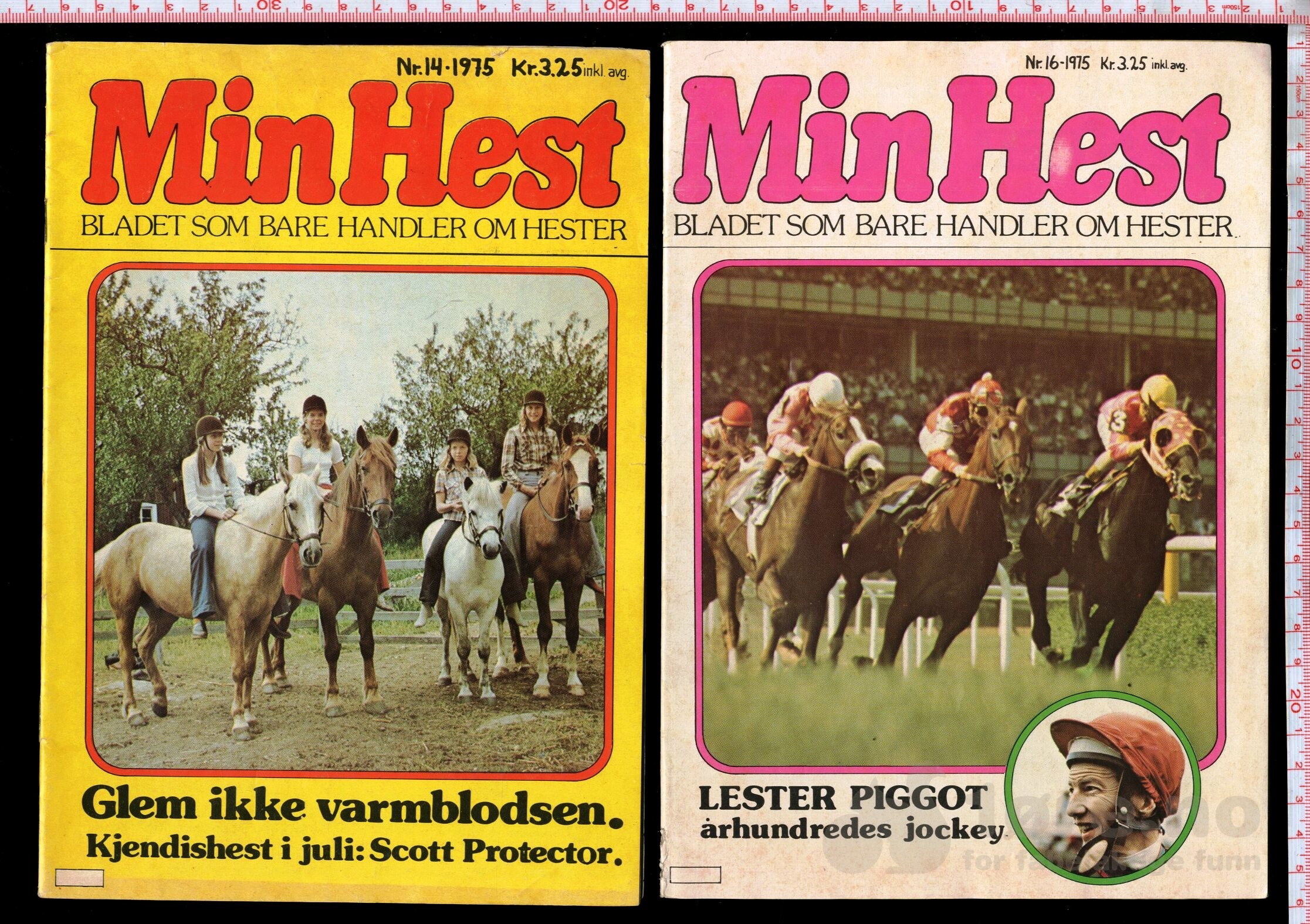 Min Hest  1973 - 1985, bilde 7