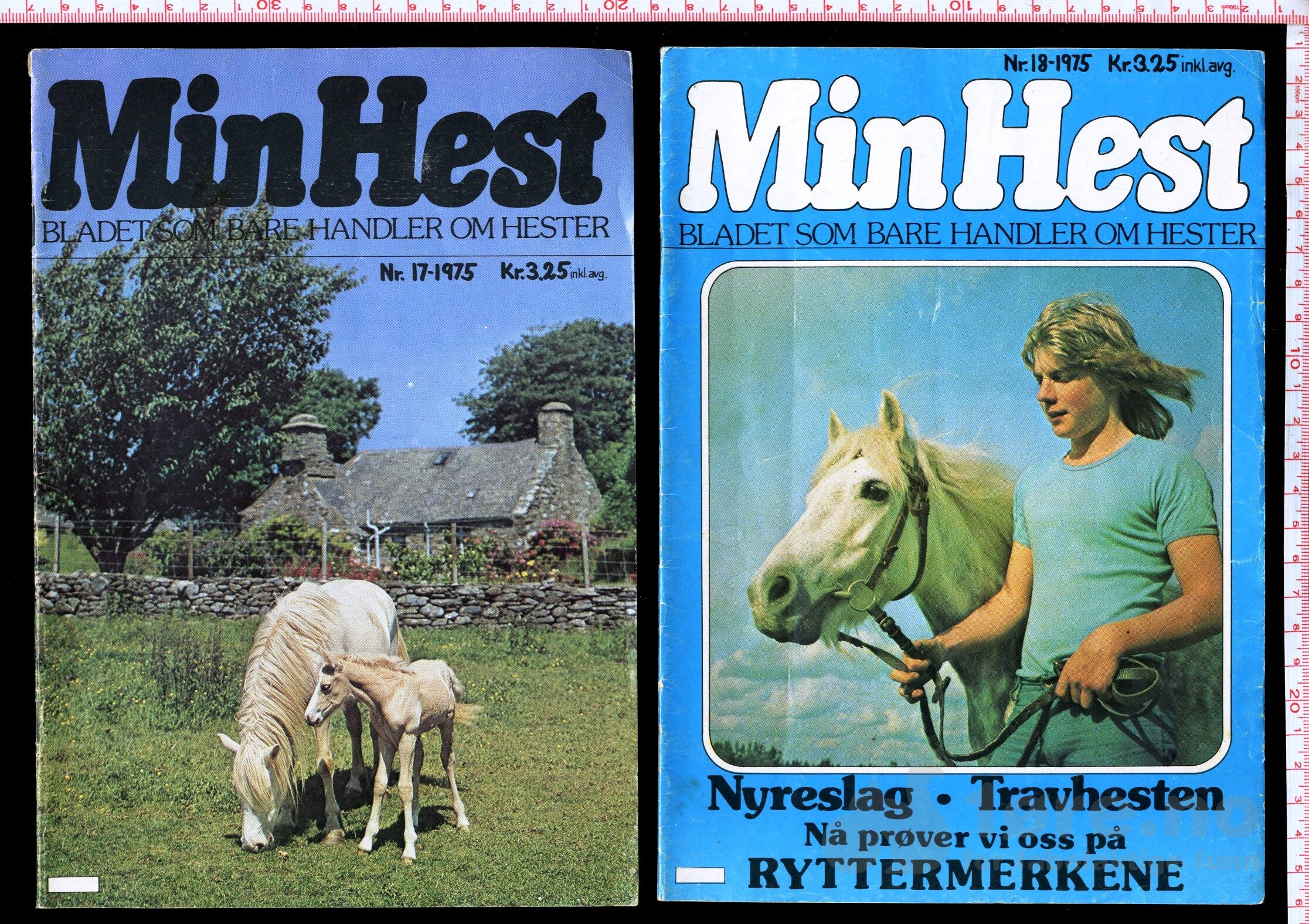 Min Hest  1973 - 1985, bilde 8