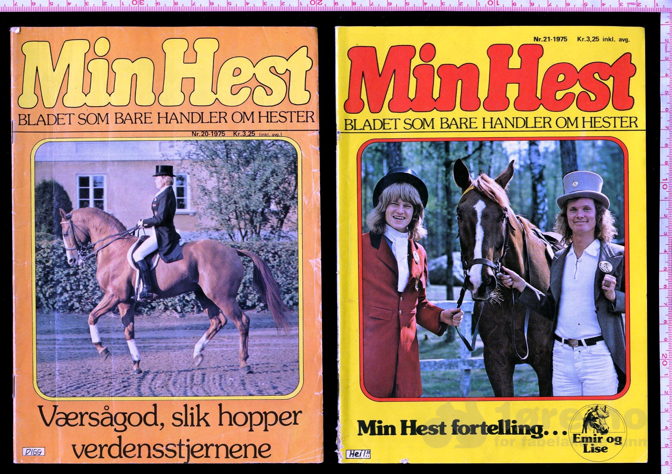 Min Hest  1973 - 1985, bilde 9