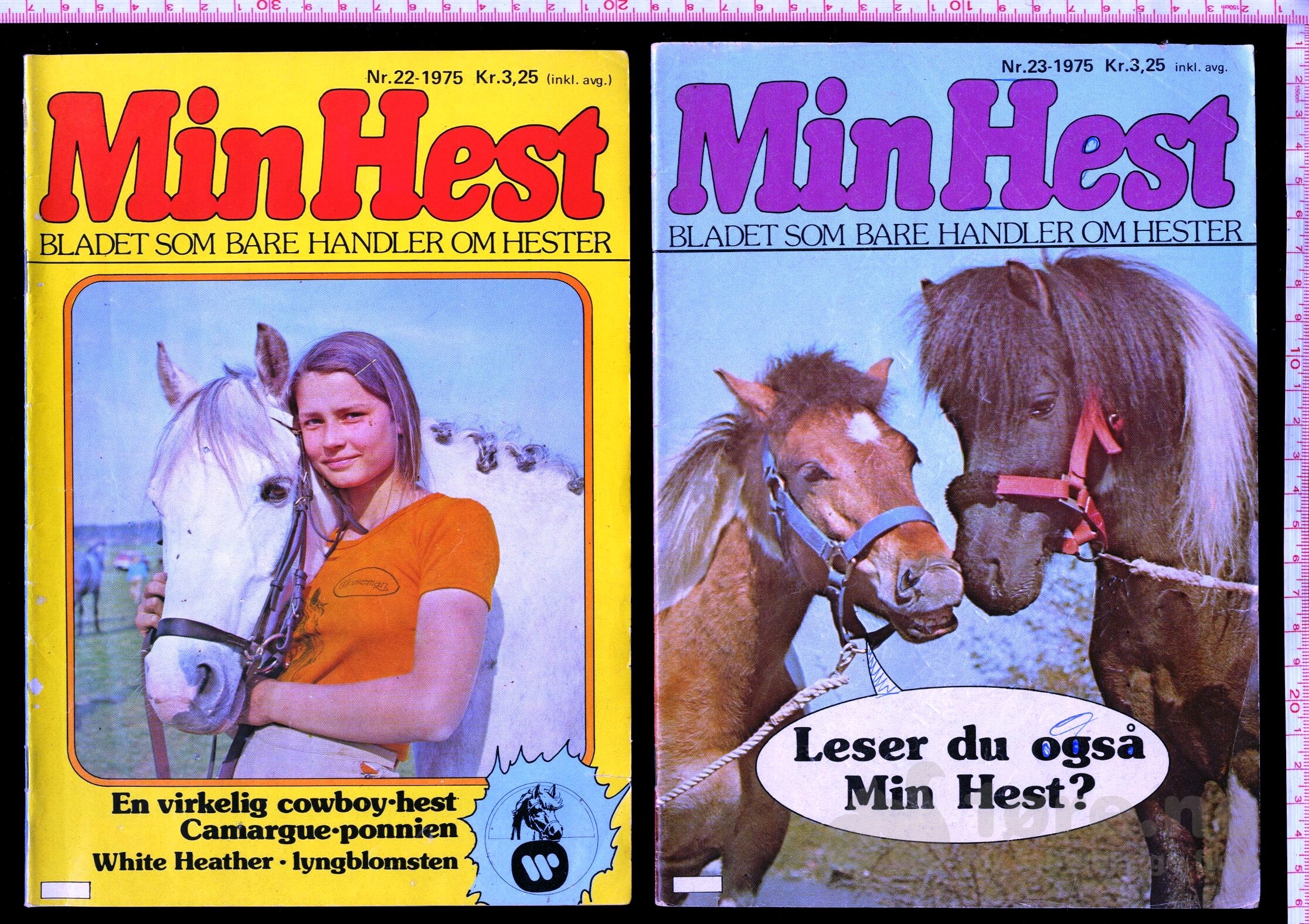 Min Hest  1973 - 1985, bilde 10