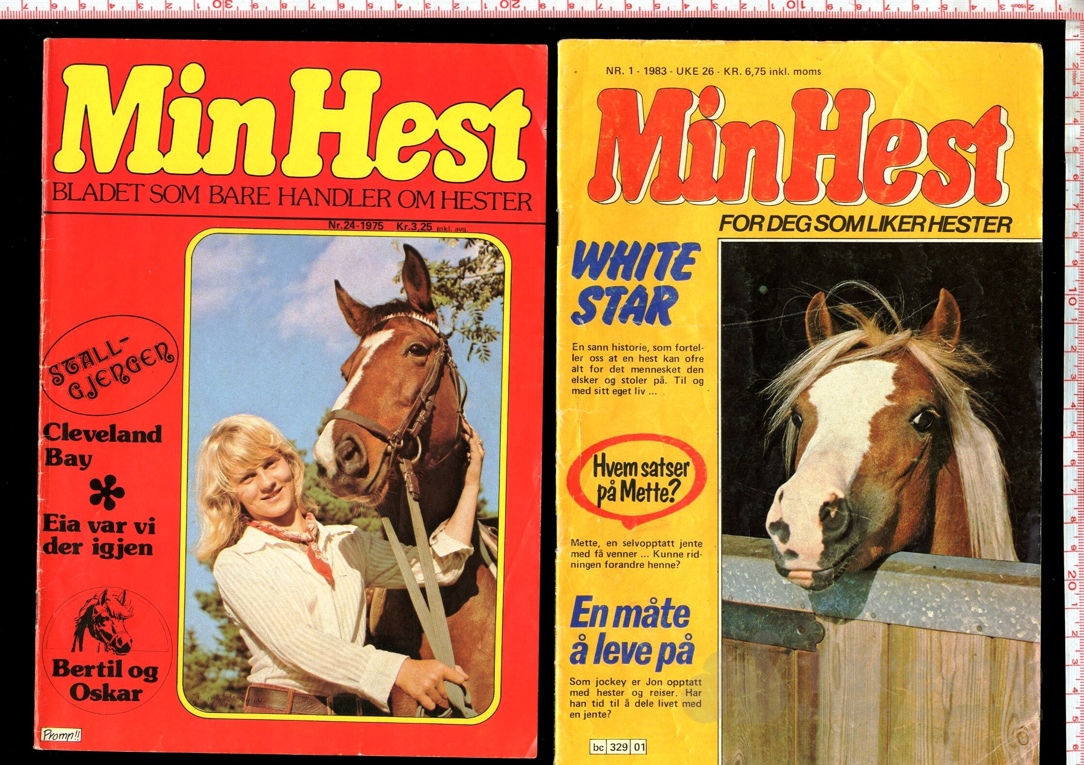 Min Hest  1973 - 1985, bilde 11
