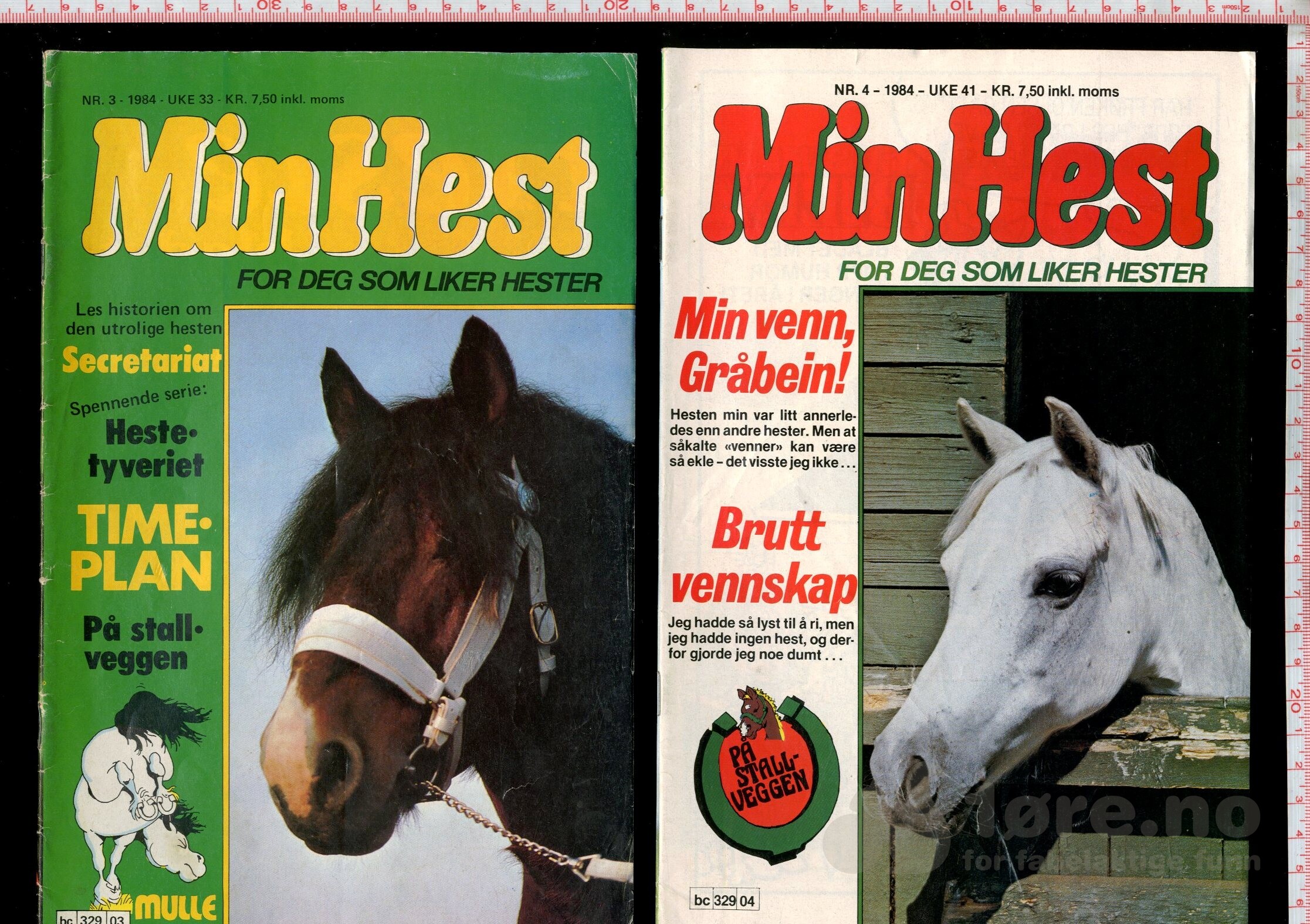 Min Hest  1973 - 1985, bilde 12