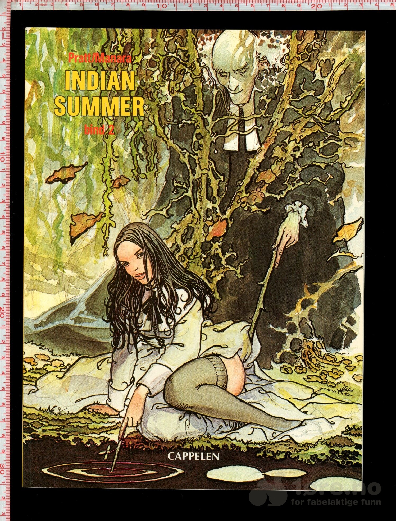 Indian summer bind 2