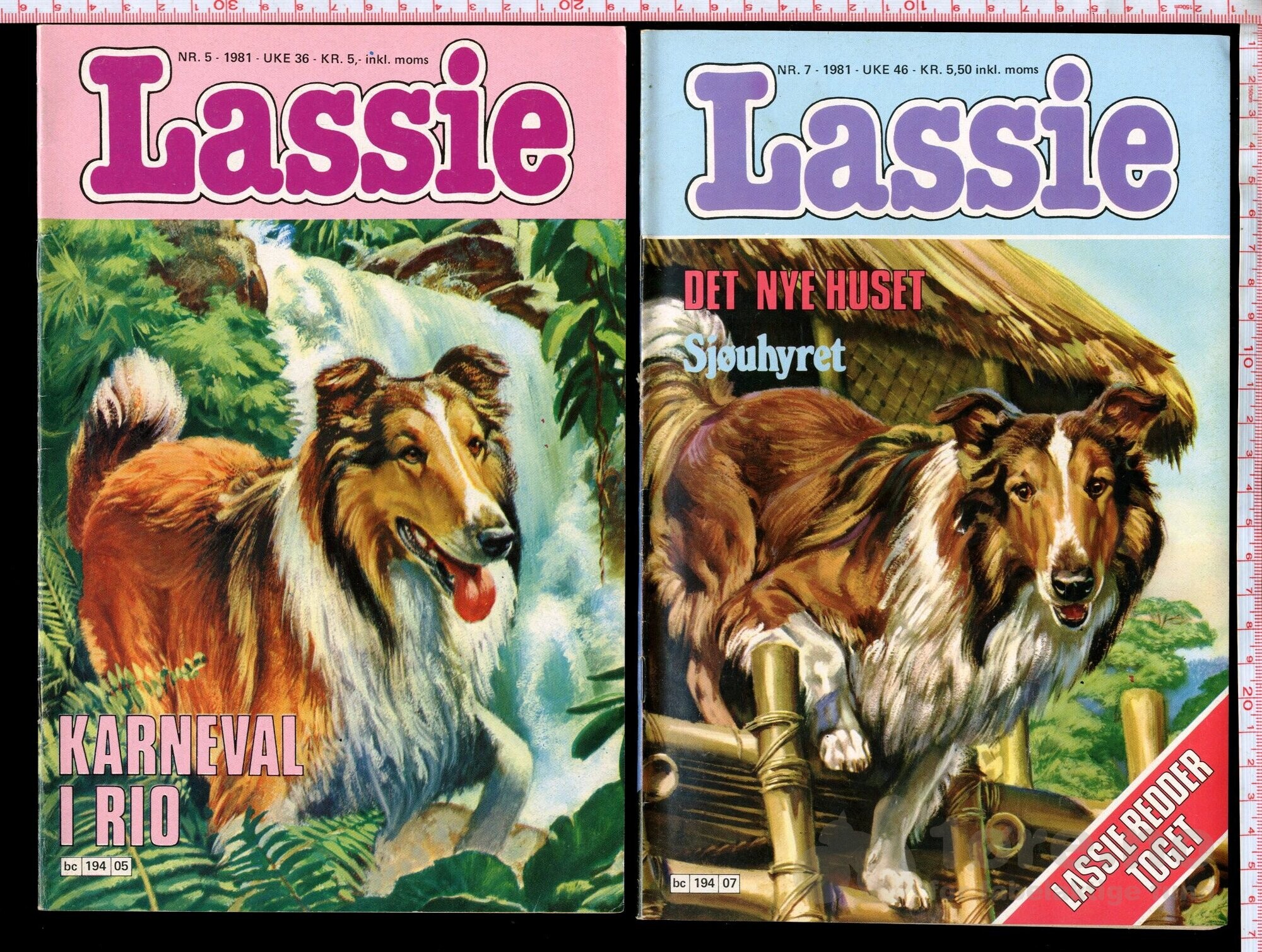 Lassie 1980-1982, bilde 6