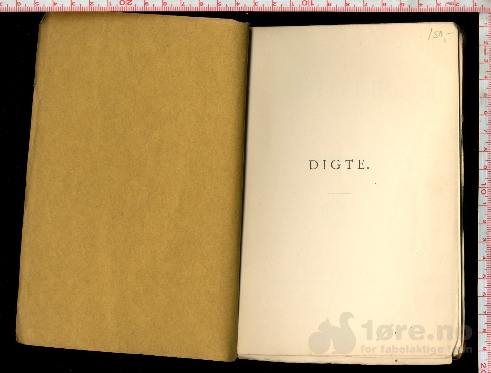 Lie, Jonas - Digte (1889), bilde 3