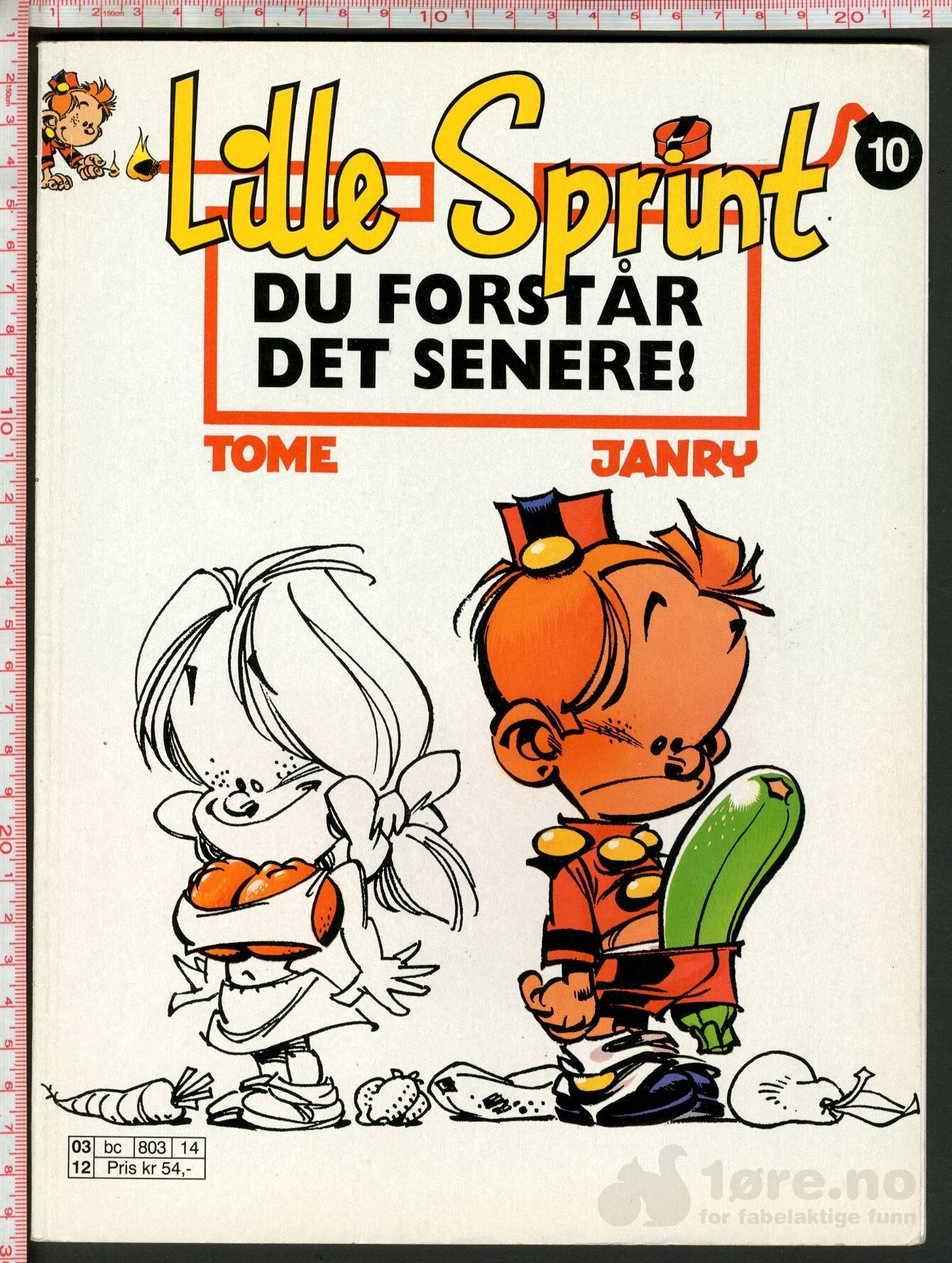 Lille Sprint Nr.10 - Du forstår det senere!