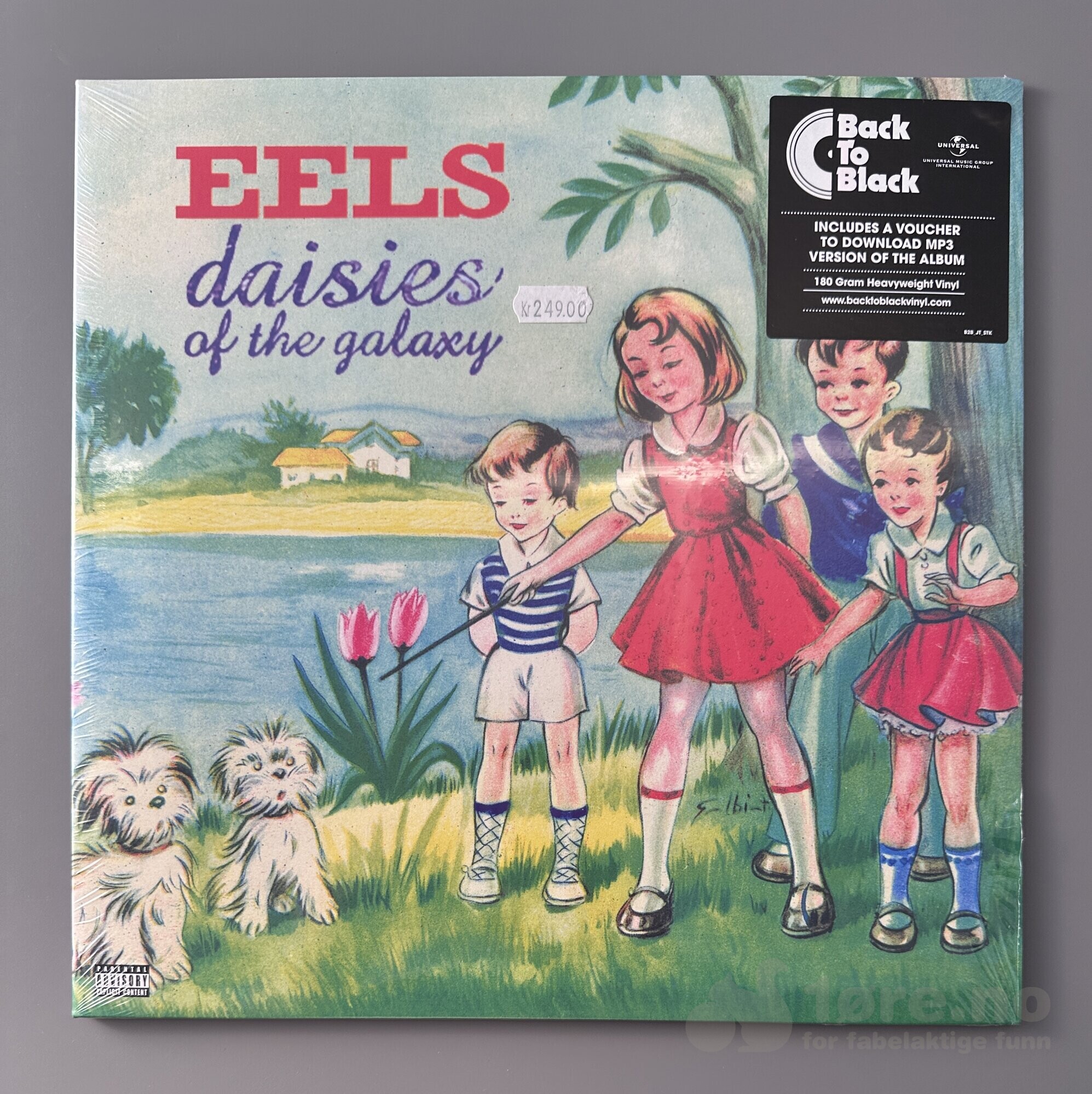 LP - EELS - Daisies of the galaxy
