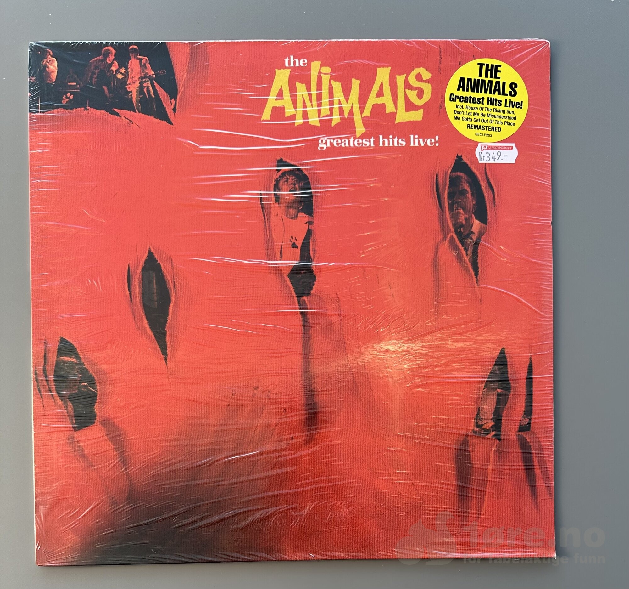 LP - The Animals - Greatest Hits Live