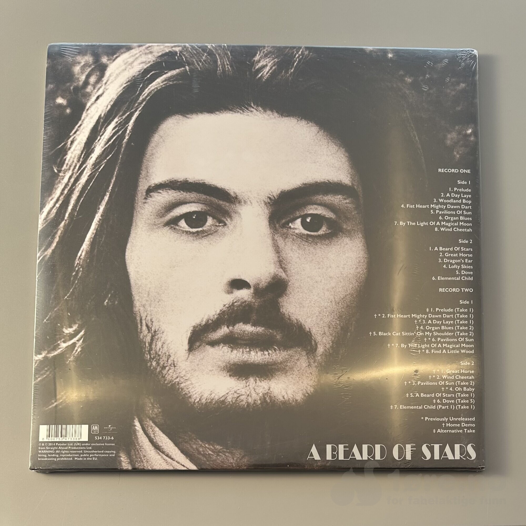 LP – Tyrannosaurus Rex – A Beard of Stars, bilde 2