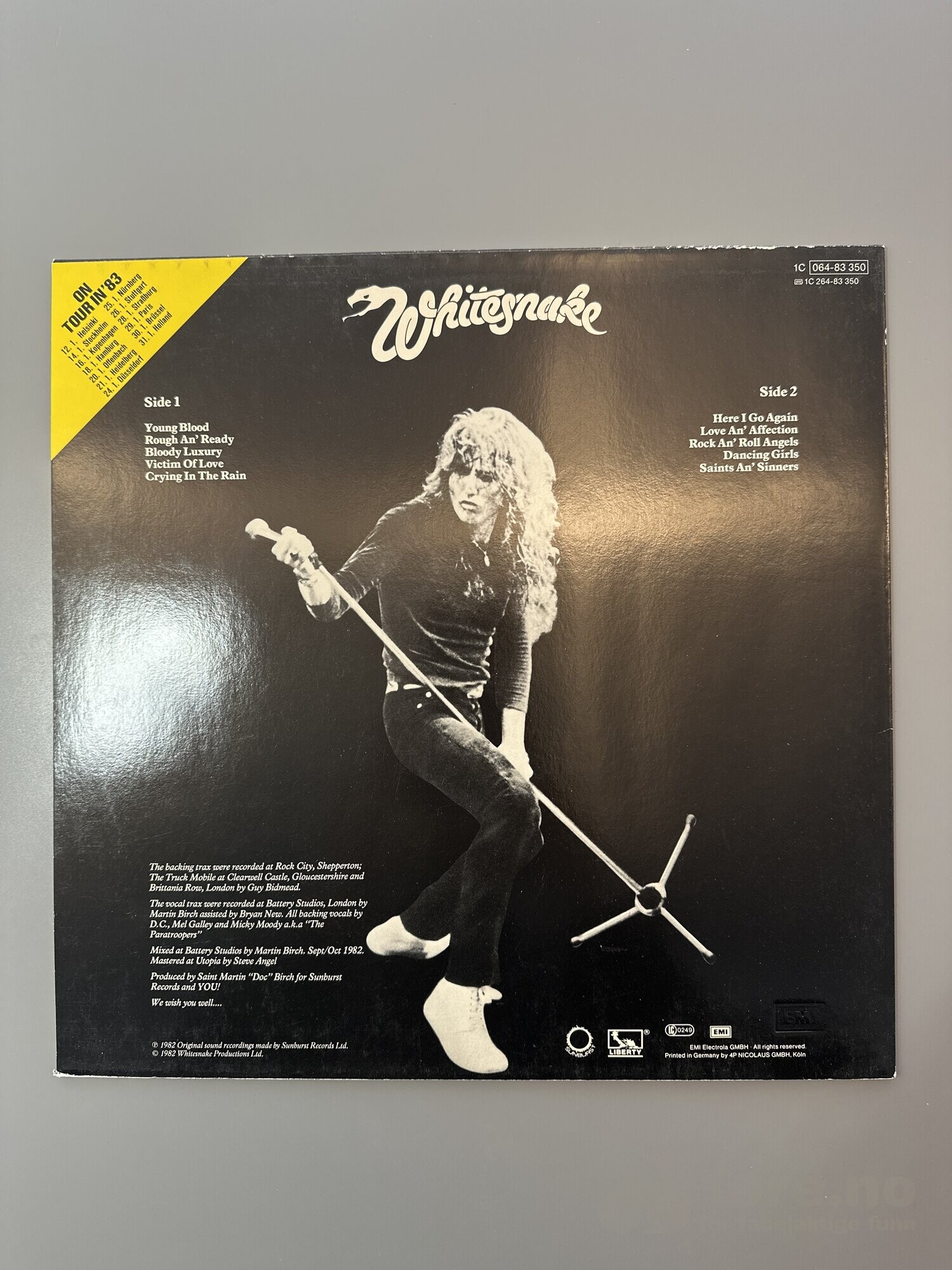 LP - Whitesnake - Saints an’ Sinners, bilde 2