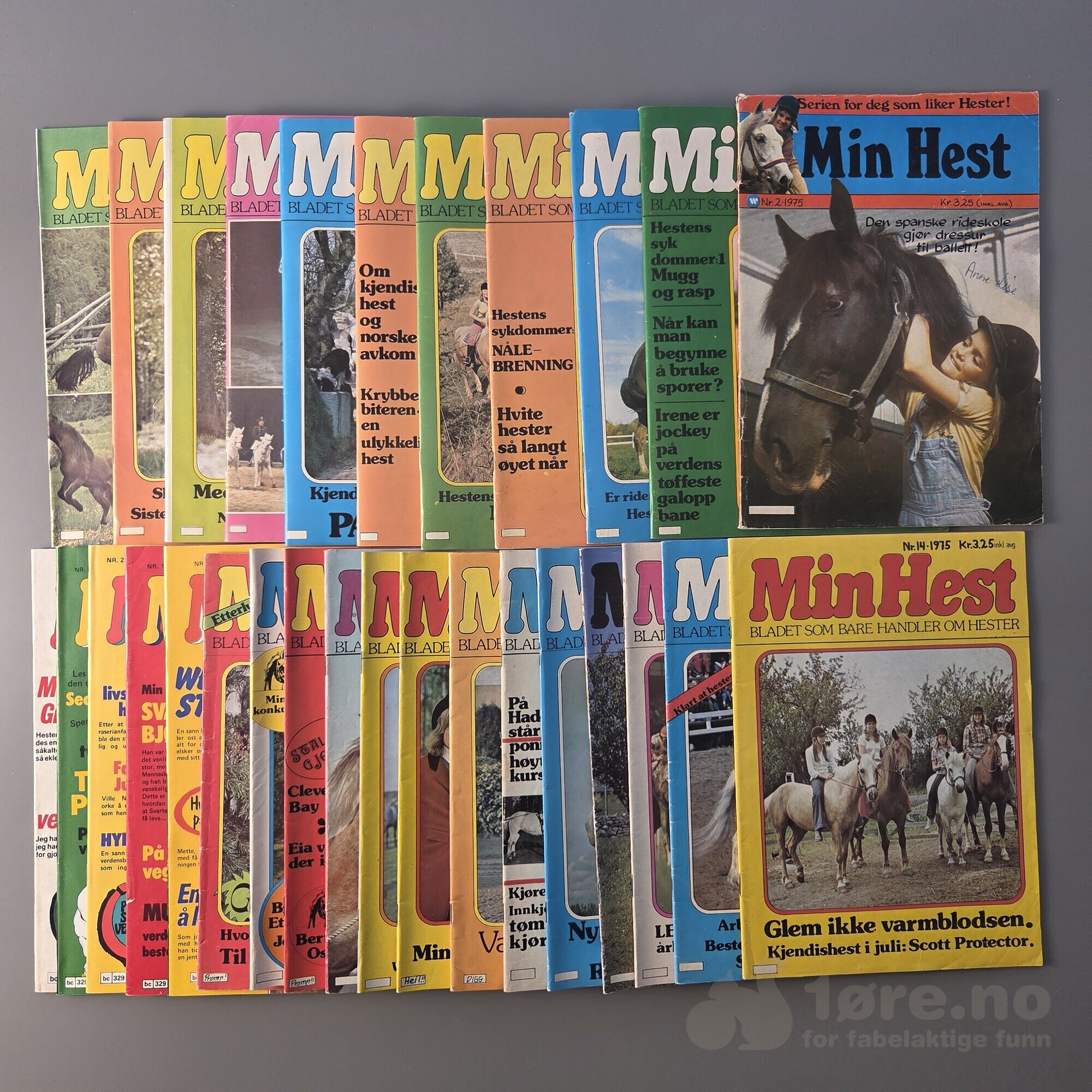 Min Hest 1975-1984