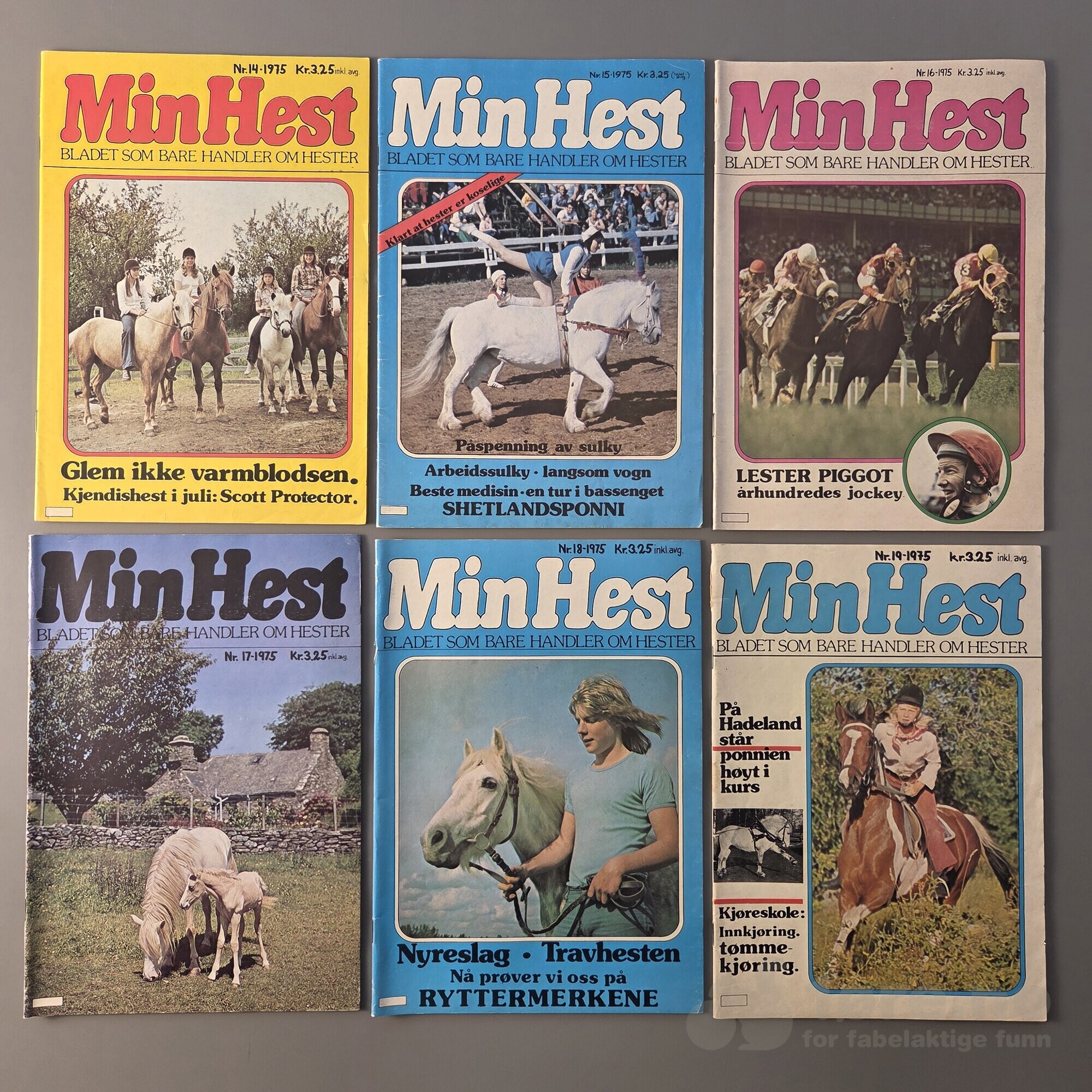 Min Hest 1975-1984, bilde 4