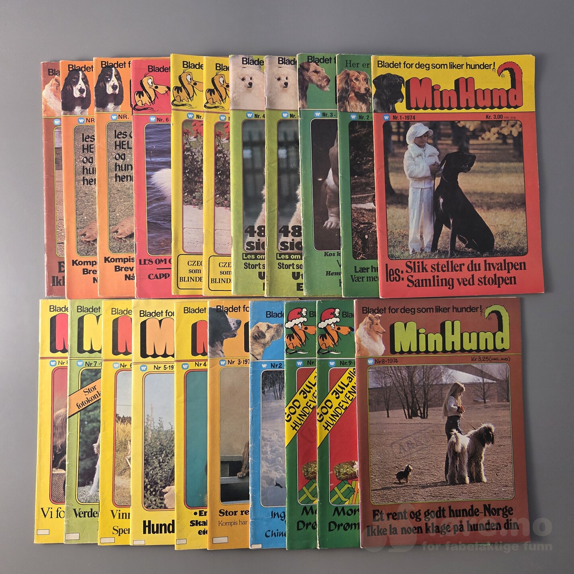 Min Hund 1974-1975