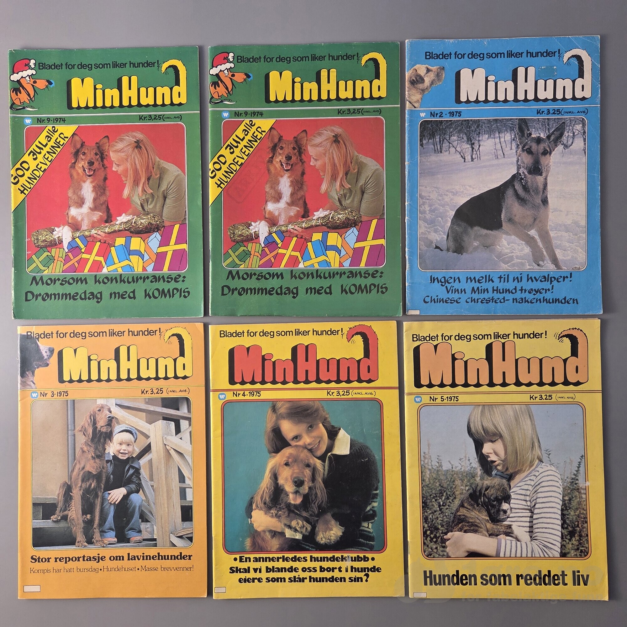 Min Hund 1974-1975, bilde 4