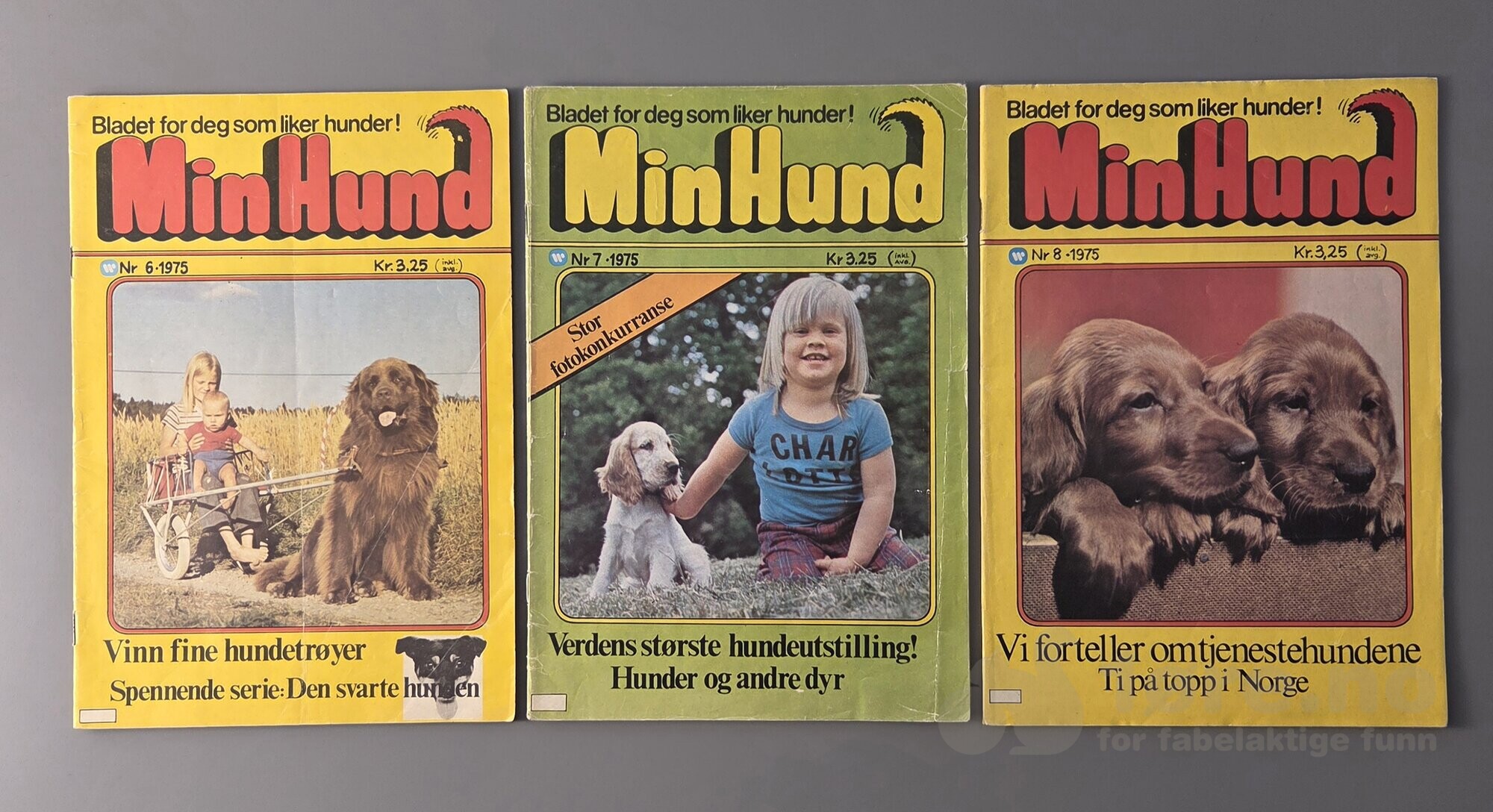 Min Hund 1974-1975, bilde 5