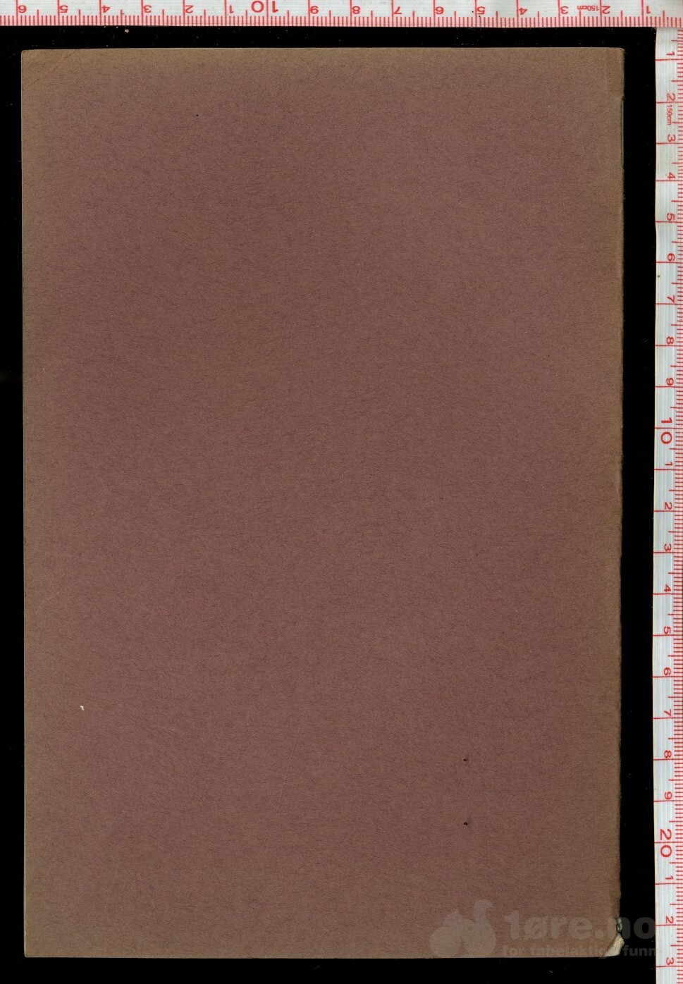 Muderspach, L - Spiritismen (1920), bilde 2