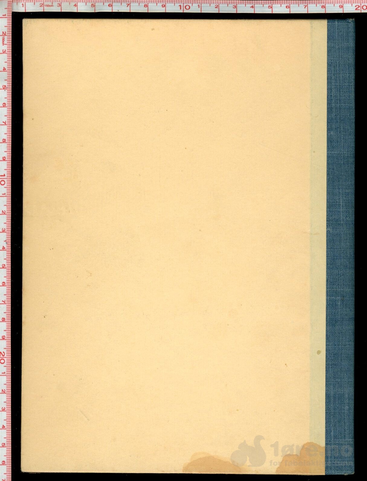 Pelle Gris 1949, bilde 2