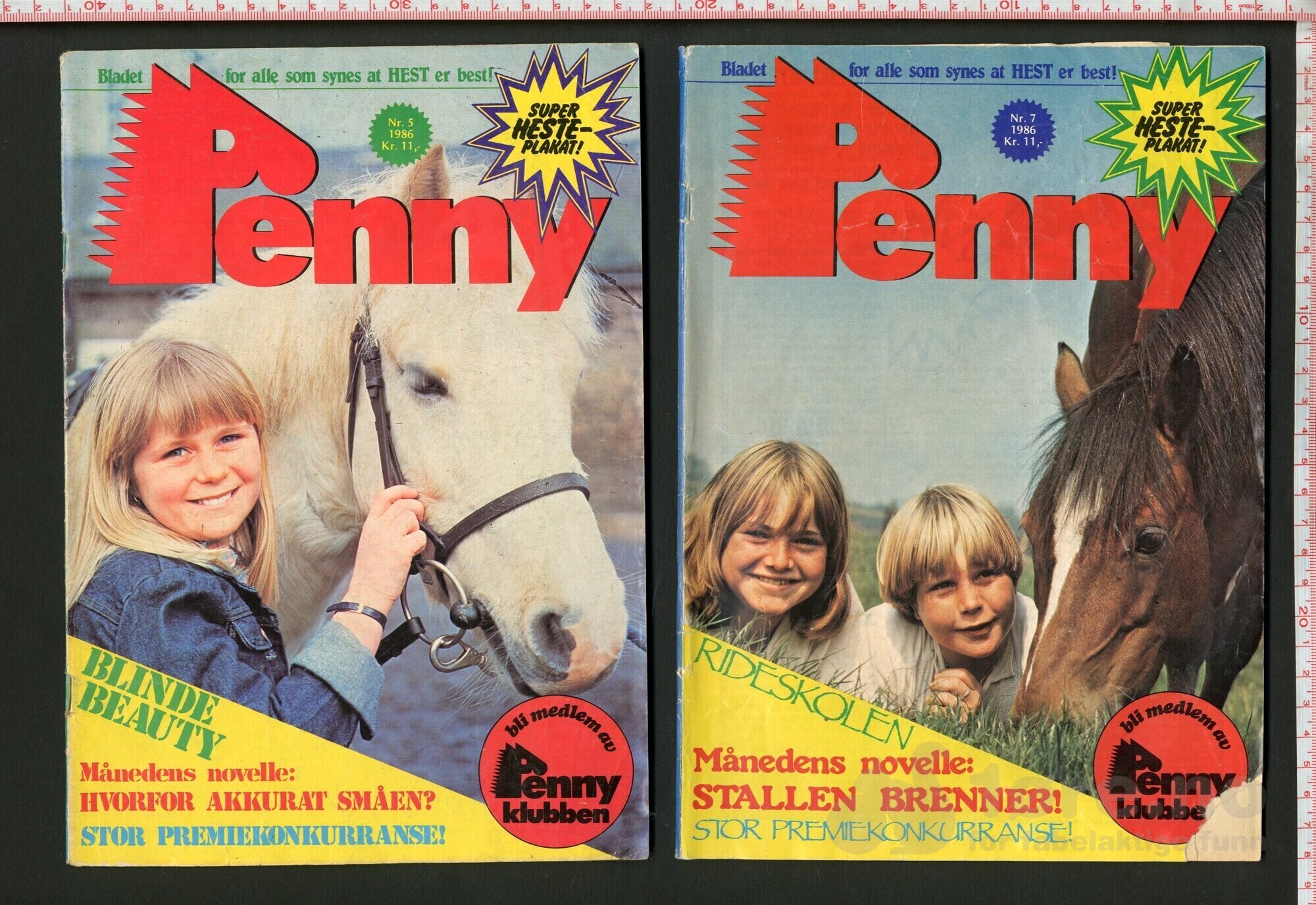 Penny 1983-1986, bilde 8
