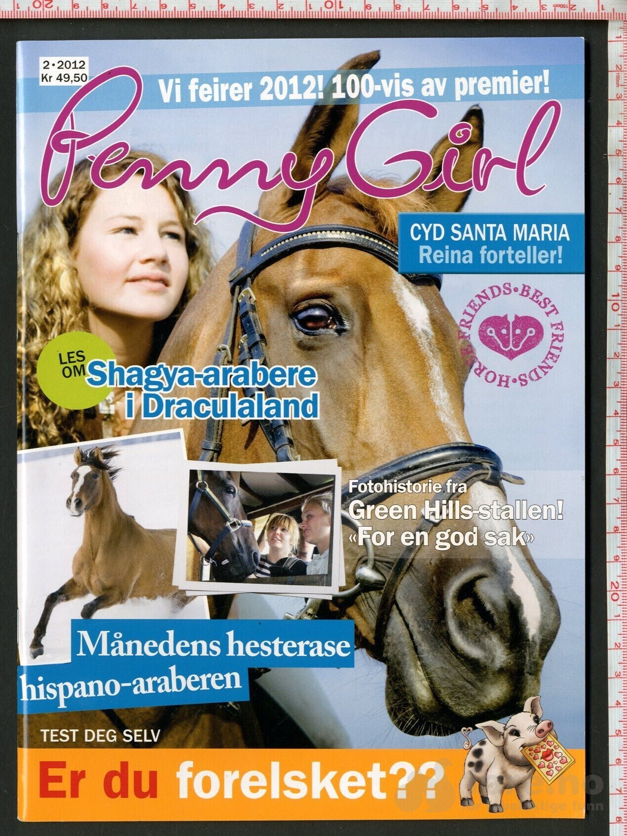 Penny 1992-94, 2012, bilde 15