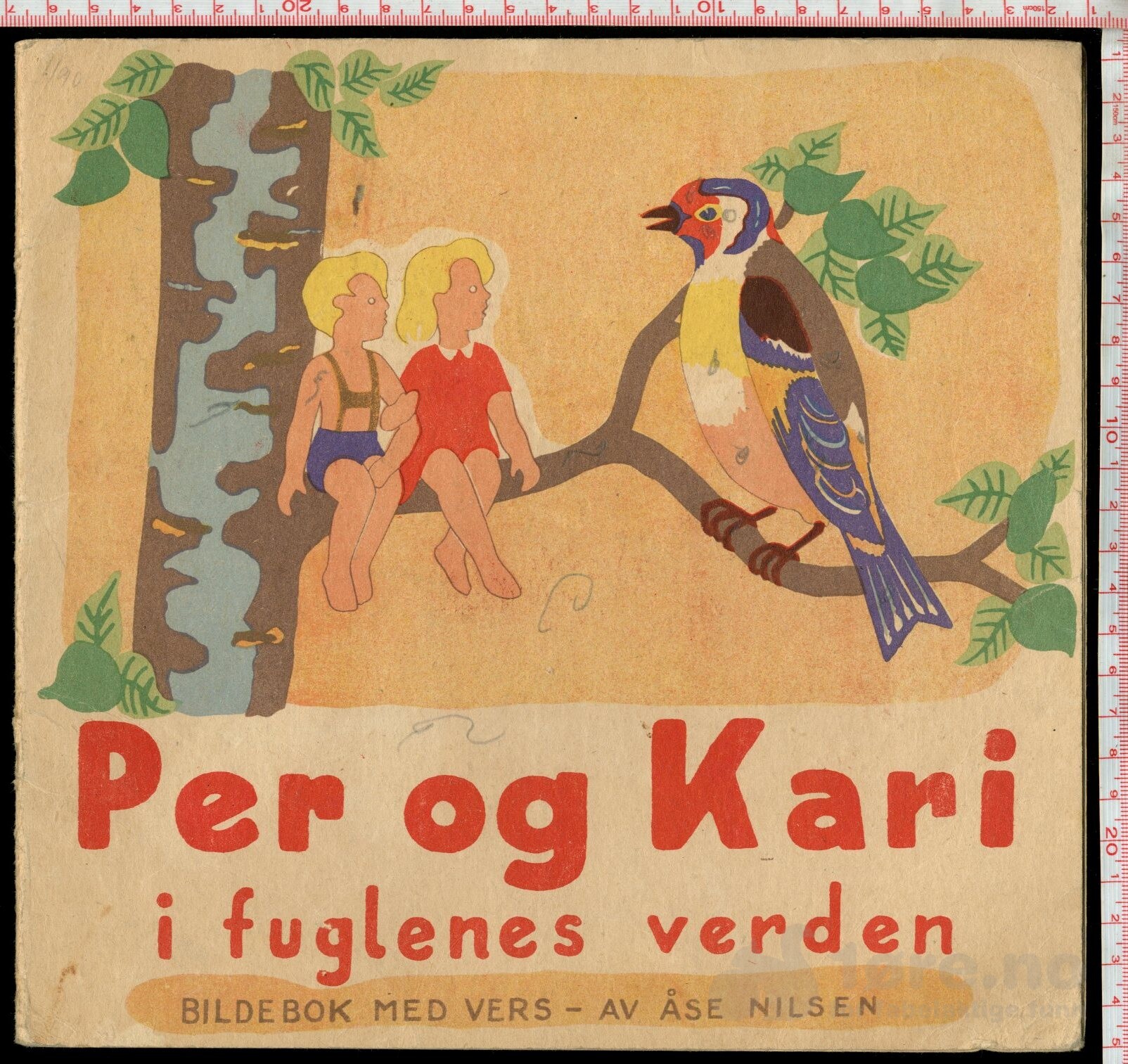 Per og Kari i fuglenes verden