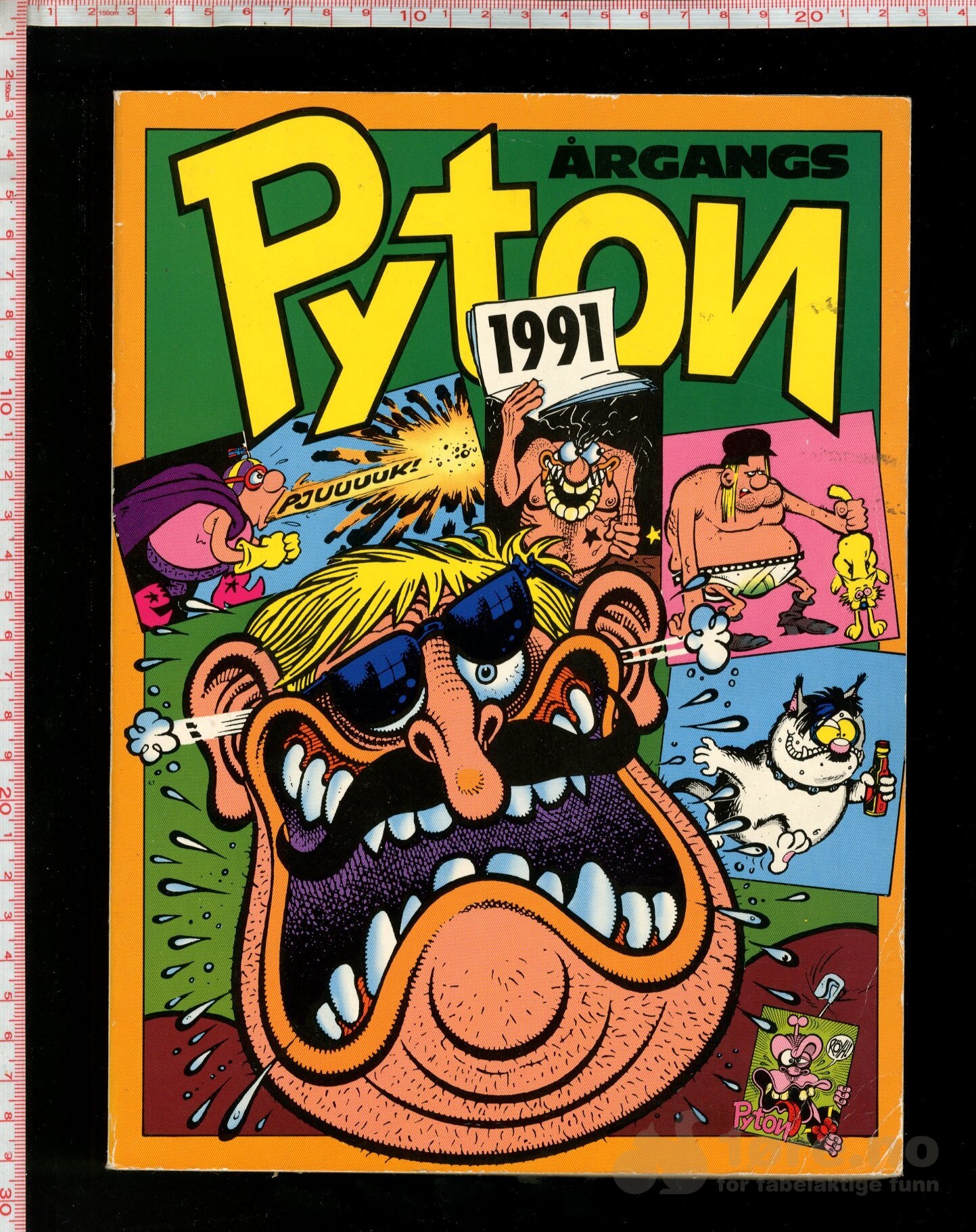 Pyton 1991