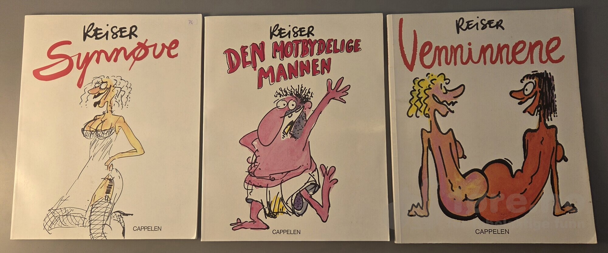 Reiser Album, bilde 3